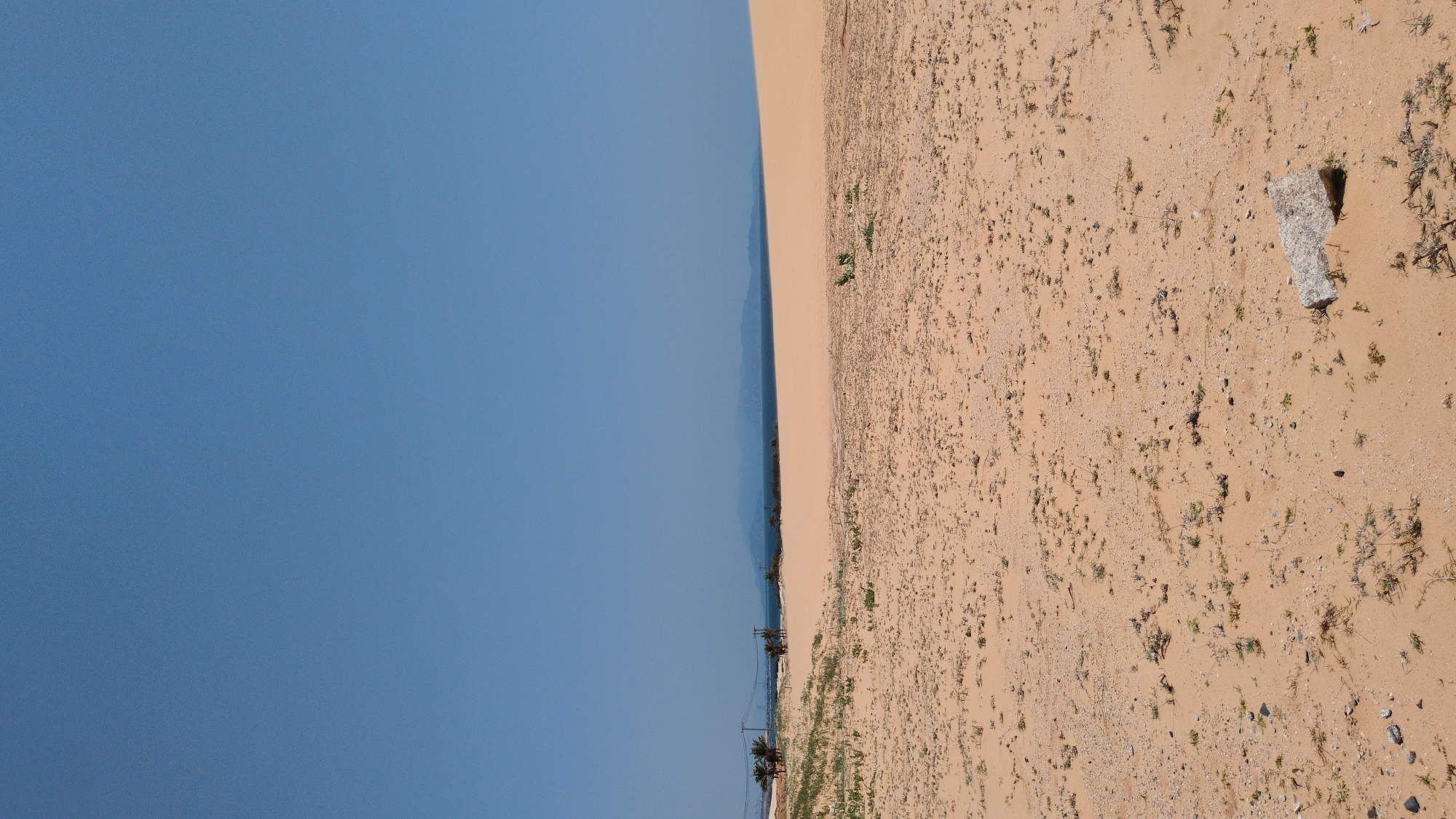 The image depicts a coastal scene near Phuoc Dinh, Vietnam. A blue sky covers the left half of the frame. The right half shows a sandy landscape with sparse vegetation and small rocks. In the distance, a line of trees and buildings is visible along the shoreline. Power lines and palm trees are also present near the coast.