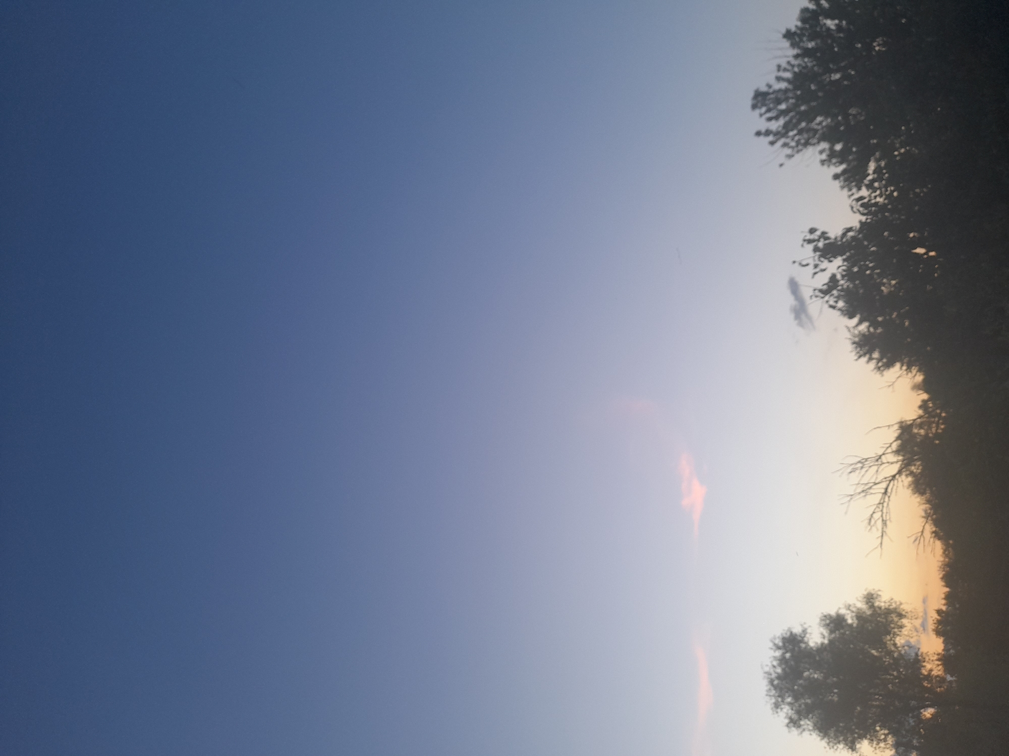 This media file captures a serene natural scene at dusk in Kliushnykivka, Ukraine. The primary subjects are the sky and silhouetted trees. The sky transitions from a deep, rich blue on the left to a soft, pale gradient of light blue and hints of orange and pink on the right, indicating the presence of a sunset or sunrise. A few wispy clouds are visible, tinged with the warm colors of the fading light.
The scene is dominated by the silhouettes of trees along the right edge of the frame and a larger tree in the lower right corner. Their dark forms contrast sharply with the illuminated sky, creating a dramatic effect. The branches of some trees are bare, suggesting it might be late autumn or winter, or that they are deciduous trees that have lost their leaves. The overall atmosphere is peaceful and tranquil, evoking a sense of calm.
The time of day is clearly evening or early morning due to the colors in the sky. There are no people or man-made objects visible, emphasizing the natural beauty of the location. The weather appears clear, apart from the scattered clouds. The specific location in Kliushnykivka, Ukraine, adds a geographical context to the image. There is no visible text in the media file.