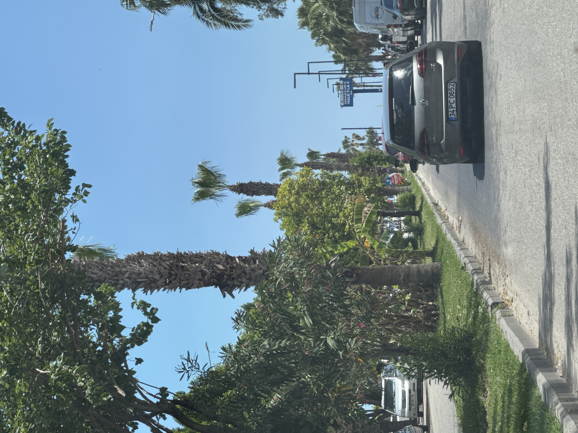 The image depicts a street scene in Konyaaltı, Turkey, with the street extending into the distance. The sky is clear and blue. Along the road, palm trees and other greenery line the street, creating a landscaped median. A dark grey Volkswagen Golf is parked on the roadside, its license plate, "34 PC 0652" is visible. In the distance, traffic is visible, including a white van. Street signs are suspended overhead. The focus of the image is on the parked car and the roadside vegetation.