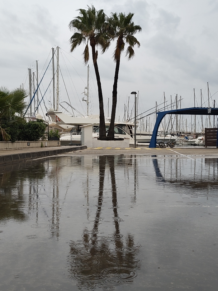 The image displays a marina scene in Rotes, Spain, under an overcast sky. In the foreground, a large, dark-toned puddle of water occupies the lower half of the frame, showing numerous concentric ripples indicating active or recent rainfall. This puddle clearly reflects two tall palm trees with dark, slender trunks and green fronds, positioned centrally in the midground. To the left of the reflected palm trees, a concrete curb borders the puddle, beyond which a raised section contains green foliage and a white, angular structure. To the right of the palm trees, a large blue arched structure, possibly a canopy or cover, is visible. Behind these midground elements, numerous sailboats and yachts are docked in the marina, their tall masts and intricate rigging forming a dense pattern against the muted grey sky. Several white-hulled motor yachts are also identifiable amongst the docked vessels. A black streetlamp pole is visible behind the palm trees on the right. No individuals or animals are present in the scene.