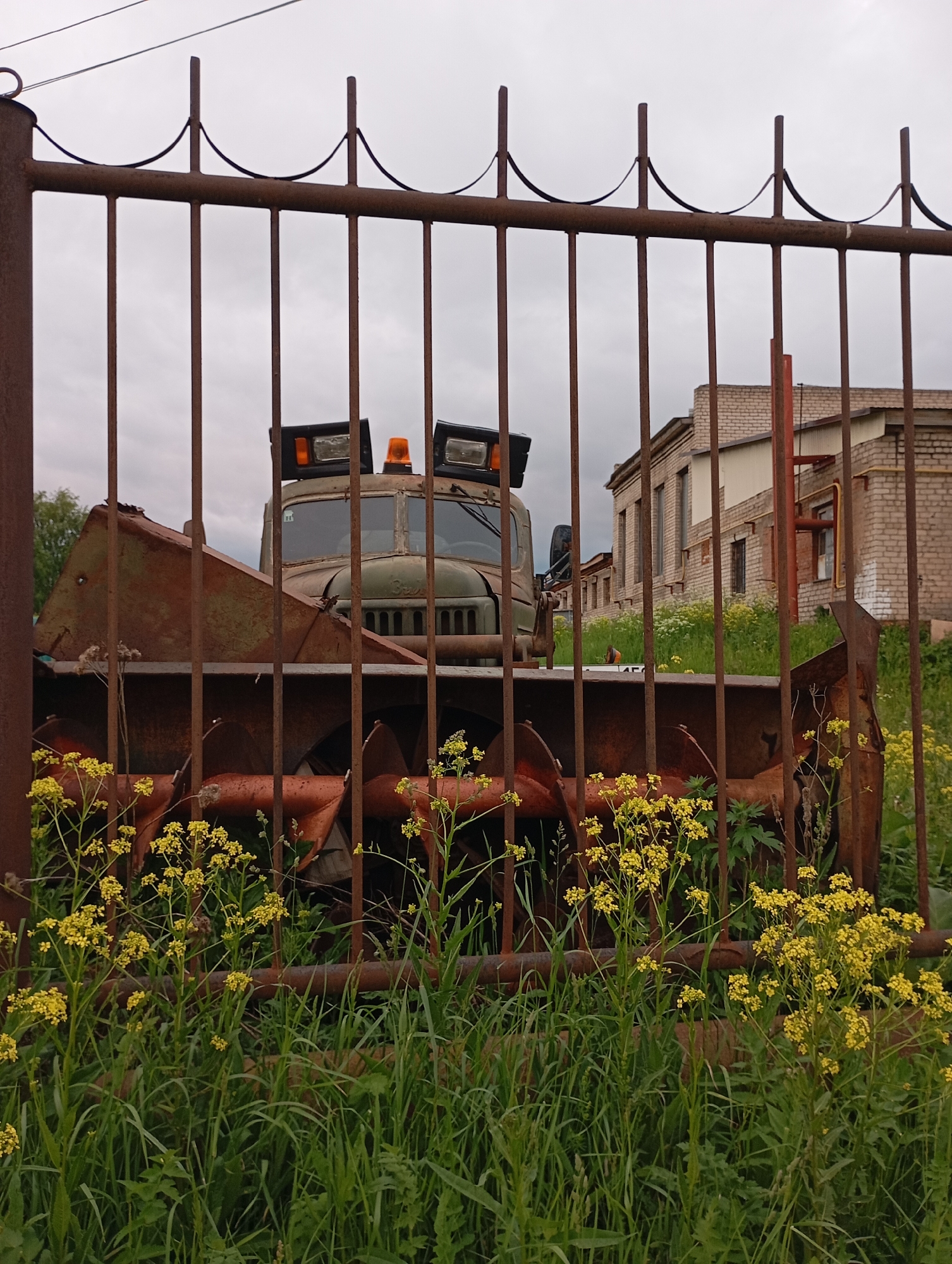 The image depicts an outdoor scene in Фоки, Russia, characterized by an abandoned industrial or utility area. In the immediate foreground, a rusty brown metal fence composed of vertical bars and decorative arched horizontal elements is present. Lush green grass and numerous yellow wildflowers with multiple small blooms are growing abundantly in front of and behind this fence, reaching approximately half the height of the fence bars.
Behind the fence, a large, olive-green utility truck is positioned. The truck's cab features two prominent rectangular work lights mounted on its roof, one of which has an amber warning beacon adjacent to it. Attached to the front of the truck is a heavily rusted, large-scale industrial attachment, likely a snow blower or similar debris-clearing mechanism, characterized by a large, scoop-like housing and internal auger-like components. The truck and its attachment exhibit significant weathering, rust, and signs of disuse.
In the midground and background, behind the truck and overgrown vegetation, a series of brick buildings are visible under an overcast, gray sky. These structures appear to be industrial or administrative buildings, showing signs of age. The building on the right has several rectangular windows and external piping, while other sections are partially obscured by the fence and truck. No individuals are present in the scene.