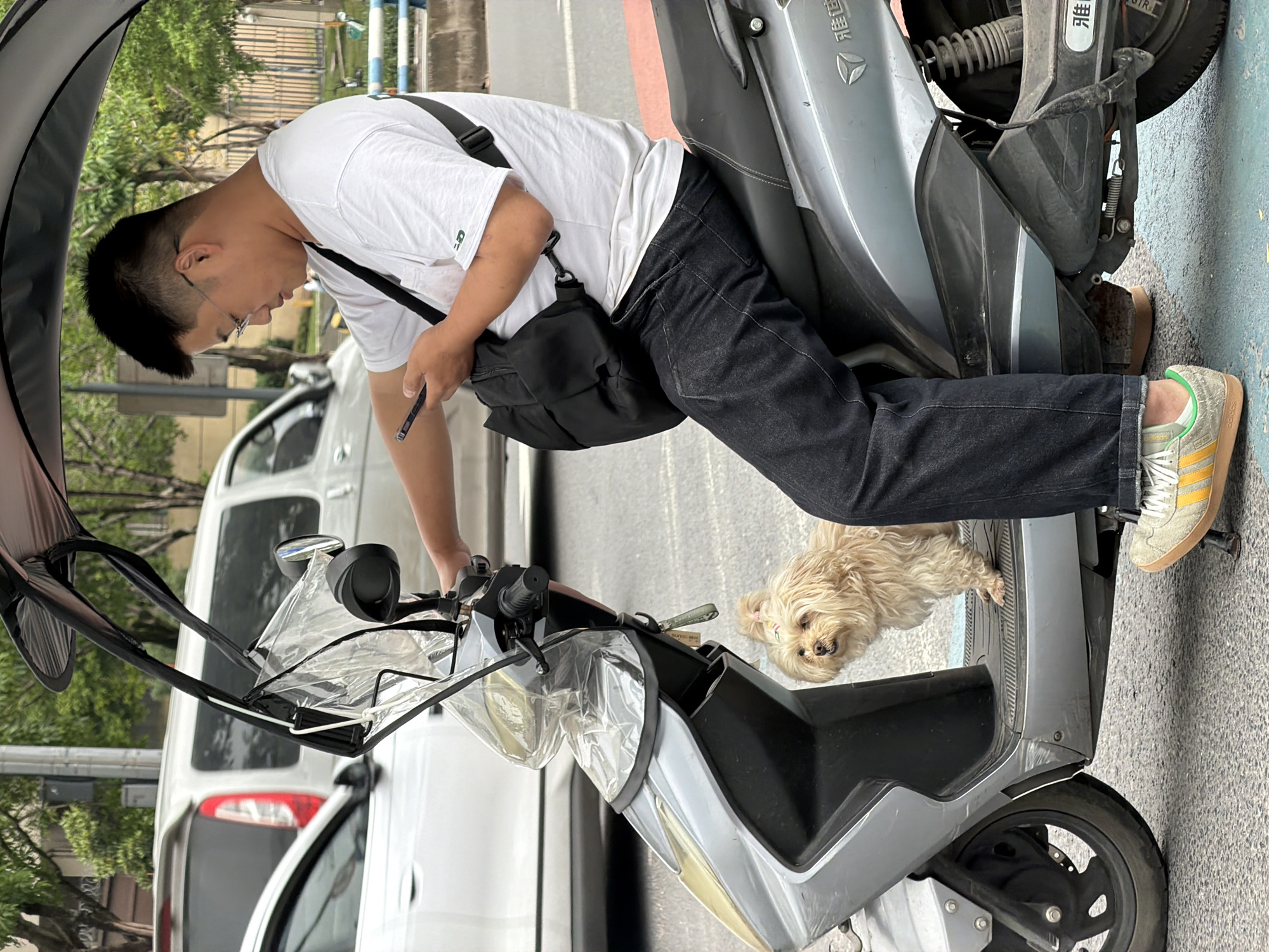 A man wearing a white t-shirt, black jeans, and white and yellow sneakers is seated on a silver scooter in Chongqing High-tech Zone, China. He is holding a smartphone in his left hand and appears to be looking at it. A black messenger bag is slung over his shoulder. A small, light-brown dog is lying on the floorboard of the scooter. Behind the scooter are parked white cars. The scooter has a clear plastic windshield and a sun canopy. The background includes trees and street infrastructure.