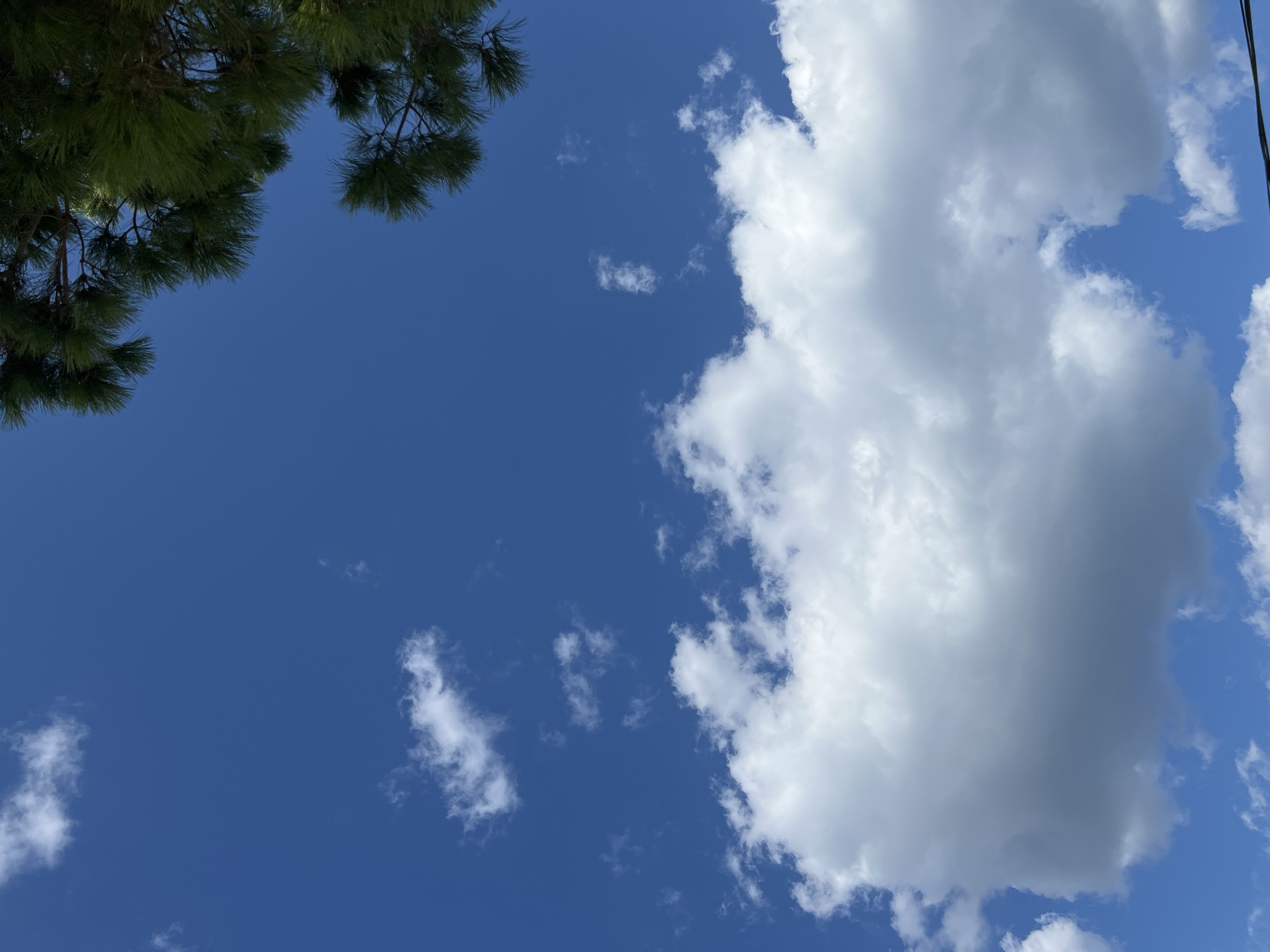 The image depicts a bright blue sky with scattered white clouds, some appearing fluffy and cumulus-like, while others are wispy. In the upper right corner, the dark green needles and branches of a pine tree are visible, suggesting an outdoor setting. There are no people or discernible man-made structures in the immediate vicinity. The overall impression is one of a clear, sunny day. The location is specified as Eretria Municipal Unit, Greece.