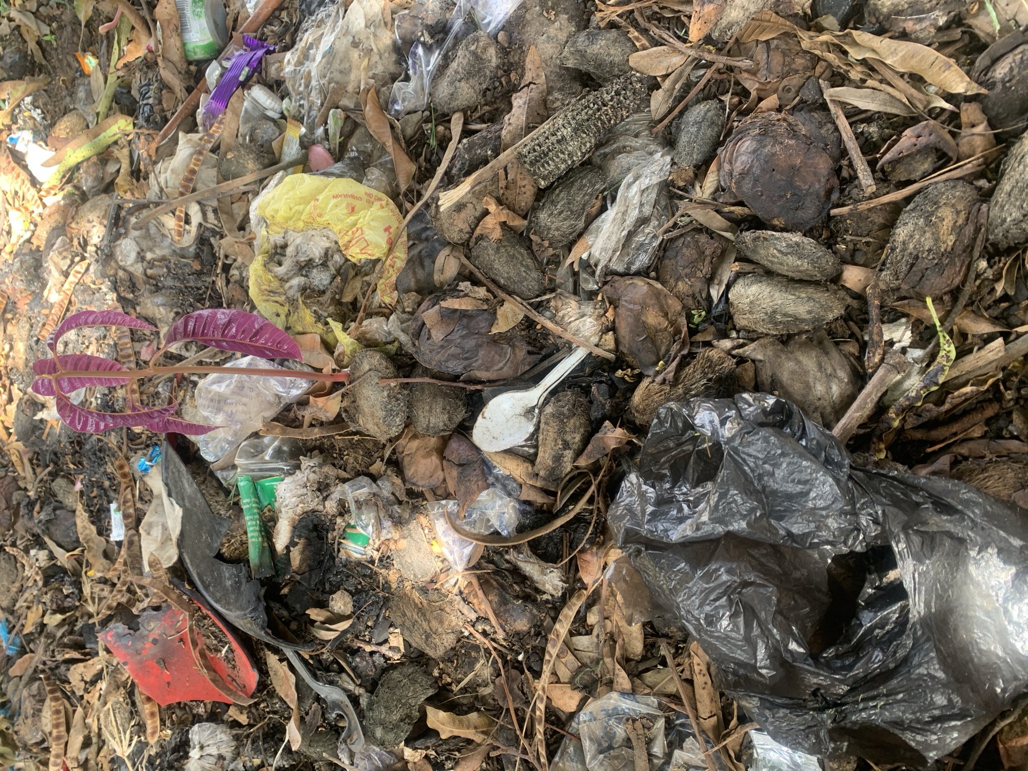 This image captures a close-up, overhead view of a trash pile located in Jos, Nigeria. The scene is dominated by a variety of discarded items, including dry leaves, brown seed pods, and several pieces of plastic waste, such as a crumpled yellow plastic bag, a black plastic bag, and clear plastic wrappers. Amidst the debris, a small plant with vibrant purple leaves is growing, suggesting a struggle for life within the polluted environment. Also visible are several rough, dark brown, oval-shaped objects, possibly dried fruits or nuts, and a white plastic spoon. The ground beneath the trash appears to be soil, and the overall impression is one of neglect and environmental degradation.