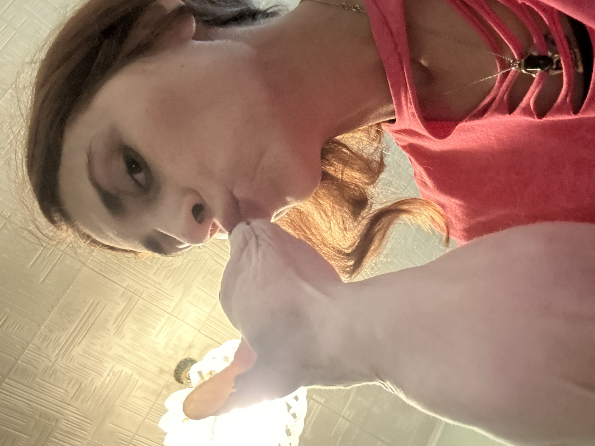 The media file shows a low-angle, close-up shot of a person and a cat. The person, with auburn hair and fair skin, is wearing a pink, cut-out top and a necklace. Their face is angled downwards, with their lips close to the cat. The cat, appearing to be a Sphynx breed due to its lack of fur, is light-colored and also angled upwards towards the person. The background consists of a textured ceiling, suggesting an indoor setting. A light fixture or lamp is visible in the lower portion of the image, casting a warm glow. The lighting suggests it could be daytime or evening. The overall mood appears to be one of affection or playfulness between the person and the cat. No text is visible in the image. The location context provided is Togliatti, Russia.