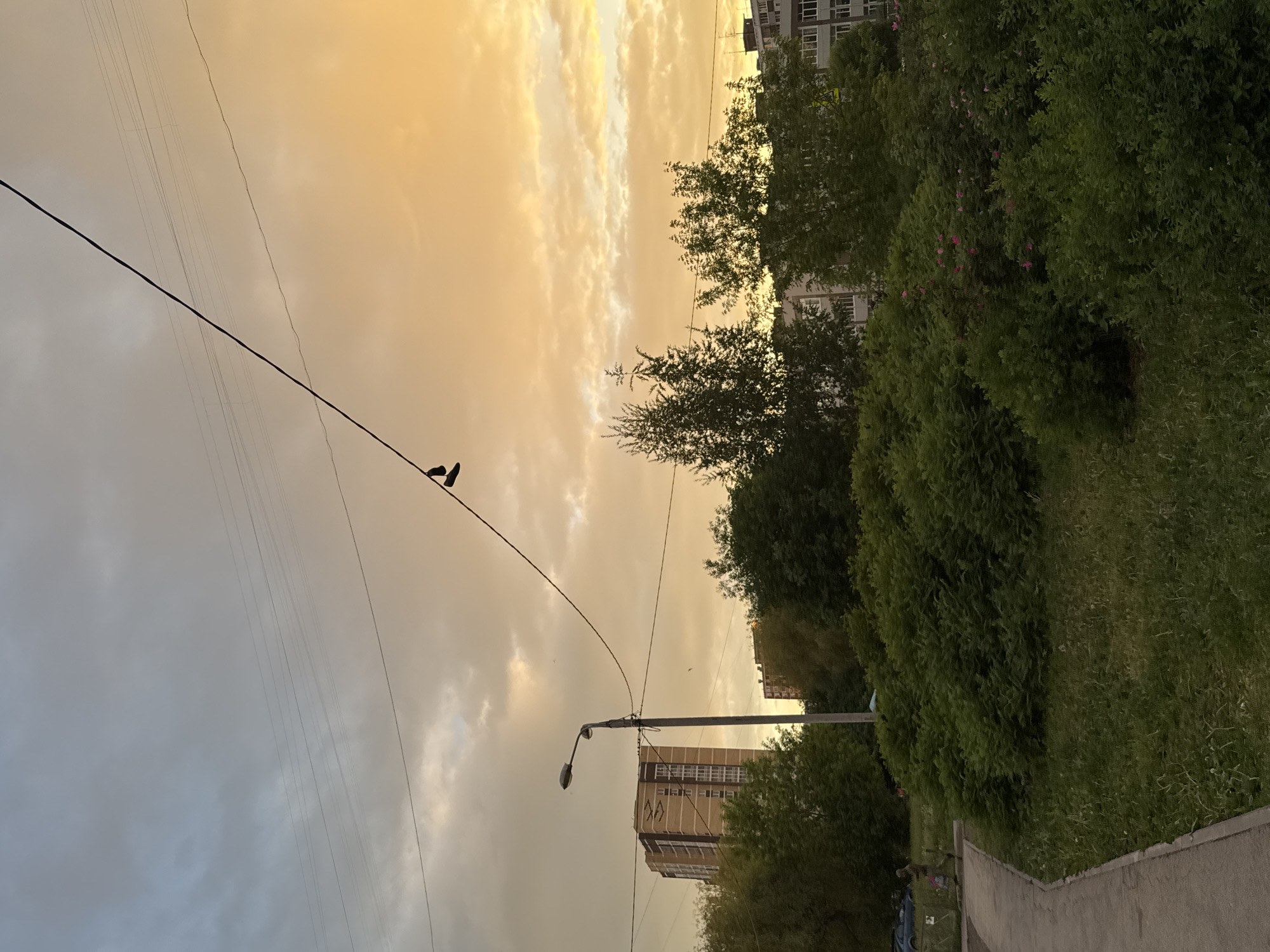 The image shows a street scene in Perm, Russia, at dusk. Two birds are perched on a black power line against a background of an orange and grey cloudy sky. In the background, there are buildings obscured by green trees and bushes, a street lamp, and a glimpse of a road and sidewalk. The image is rotated.