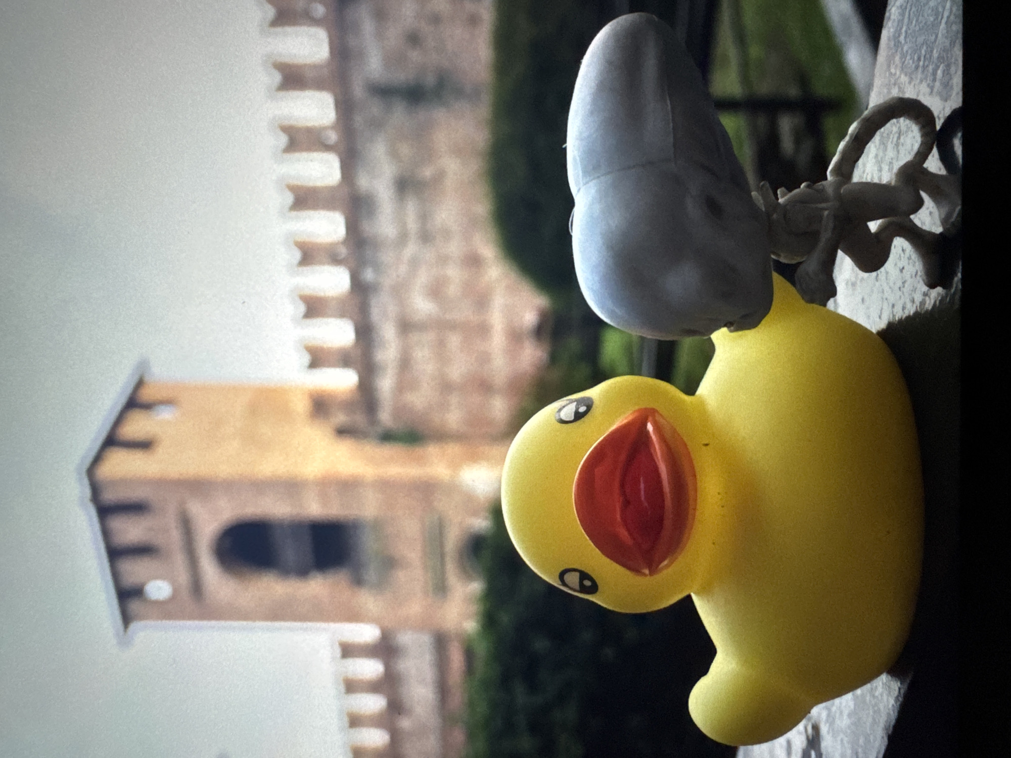 A yellow rubber duck and a small gray alien figure are positioned on a dark, wet surface in the foreground. The duck, facing forward, has large red lips and black-ringed eyes. The alien figure is to the right of the duck, appearing to be in a crouching or crawling position, with a large head and thin limbs. In the background, a large brick wall with crenellations runs horizontally across the frame, with a tower structure visible to the left. Green foliage is present behind the wall. The sky is overcast and gray. The scene is outdoors, with the wet surface suggesting recent rain. The location is identified as Riga, Latvia.