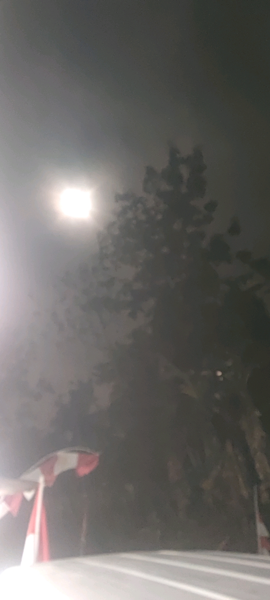 The image shows a street scene at night, possibly in Gambarsari, Indonesia, under the glow of a bright light source, likely a streetlamp or a powerful artificial light. The light is positioned in the upper left quadrant of the image, creating a diffused, hazy effect due to fog or smoke. Silhouettes of trees with dense foliage are visible behind the light source and extend across the frame, obscuring details of the background. In the lower left of the image, partially obscured by the light's glare, are what appear to be red and white striped flags or banners, suggesting a festive or ceremonial setting. A grey, paved surface, likely a road or sidewalk, occupies the bottom of the frame. The overall atmosphere is dark and somewhat mysterious, with limited visibility beyond the immediate foreground.
