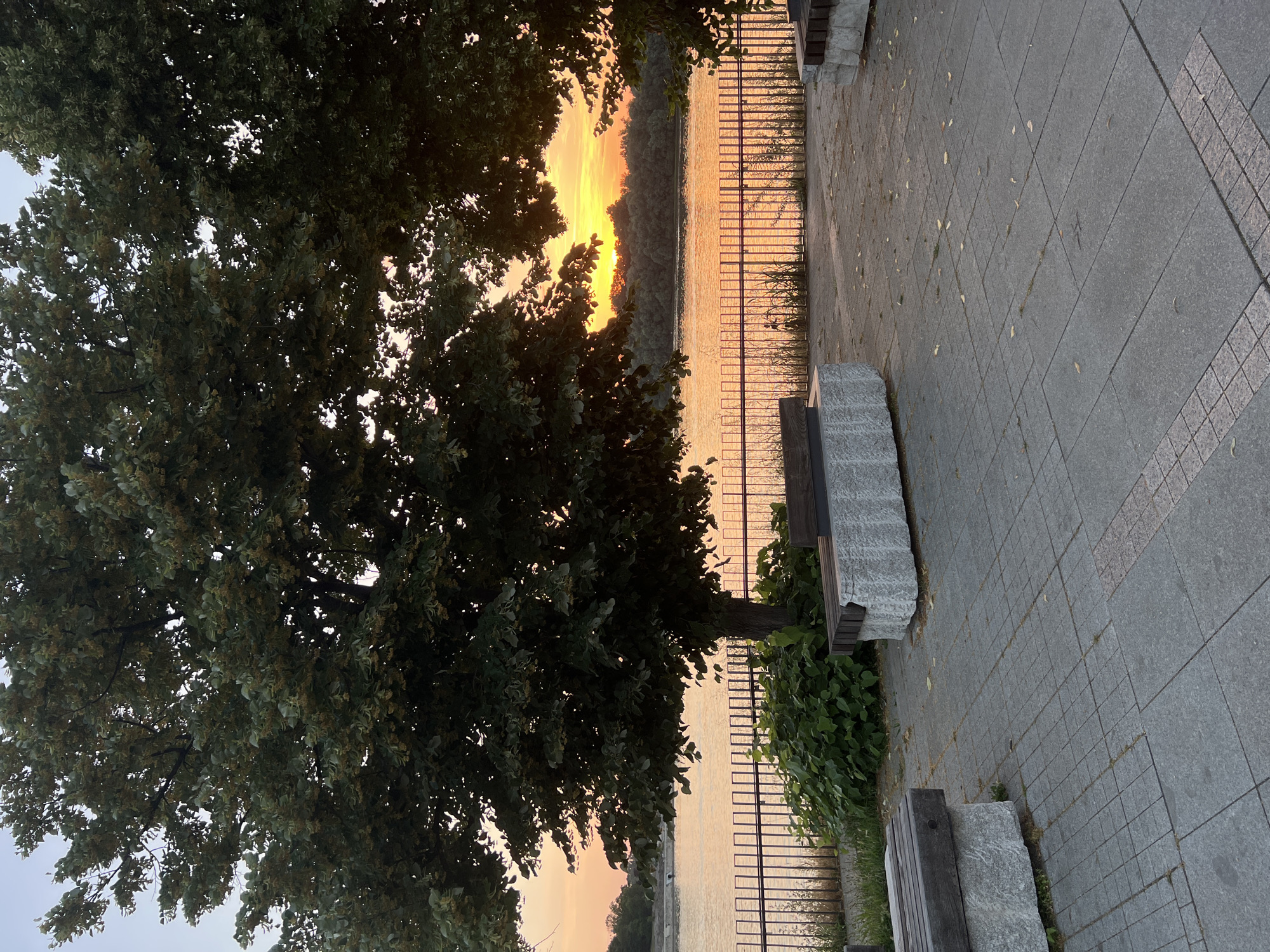 The image depicts a waterfront promenade in Belgrade, Serbia, at sunset. The foreground features a paved area with two stone benches, each topped with wooden seating. The promenade overlooks a wide river, likely the Danube, reflecting the warm, orange hues of the setting sun. A metal railing separates the promenade from the water's edge, beyond which lies a densely wooded bank. Large trees with full canopies flank the scene, partially obscuring the sky and the distant treeline. The overall atmosphere is serene and picturesque, capturing the tranquil beauty of the city as day transitions into night.