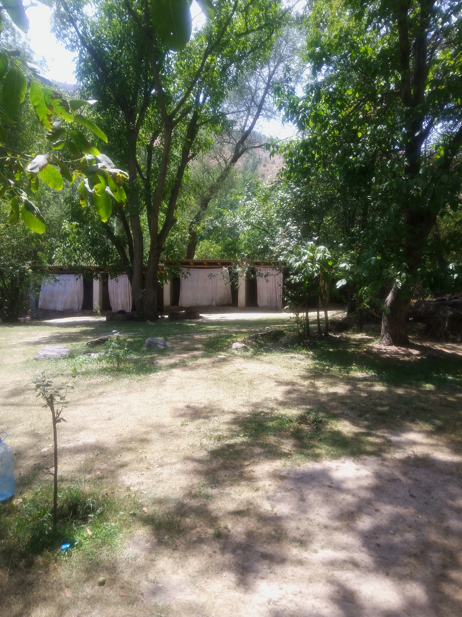 In Chaknak, Uzbekistan, a rustic outdoor scene unfolds under dappled sunlight filtering through lush green trees. In the midground, a row of simple structures with white fabric coverings creates a makeshift partitioned area, possibly for changing or shelter. These structures are built against a low wall. In the foreground, a sandy, dry ground is dotted with patches of sparse green grass and a small sapling. A large blue plastic water jug rests to the left of the frame, near the sapling. The overall impression is one of a natural, undeveloped area with basic amenities.