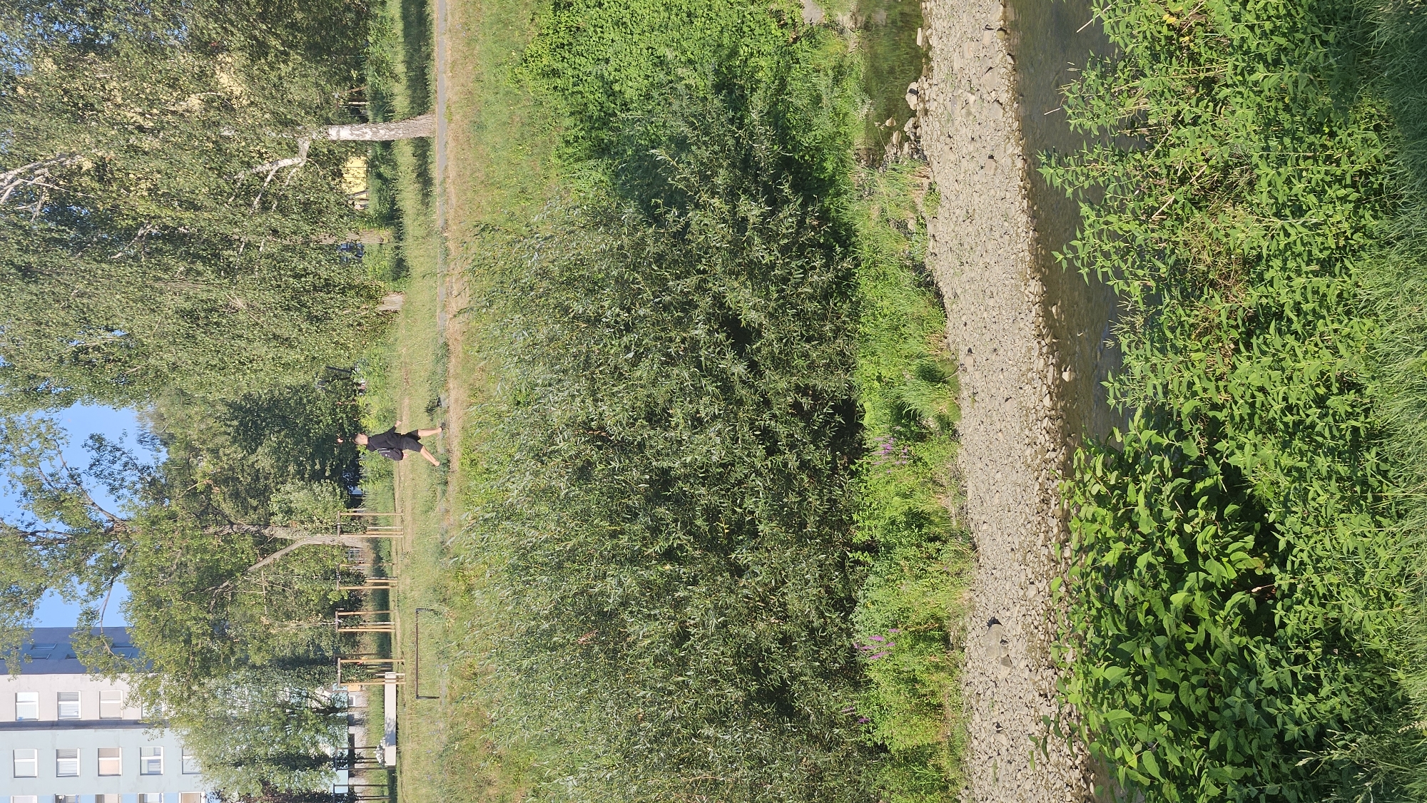 The image shows a person walking in a park-like area adjacent to a river in Prešov, Slovakia. The person, wearing a black t-shirt, black shorts, and a black backpack, is walking on a path. The environment features lush green vegetation, including trees and bushes, and a rocky riverbank. In the background, a tall, light-colored building is visible, likely an apartment complex, and part of another building with a yellowish facade. The scene is illuminated by bright sunlight, suggesting a daytime setting.