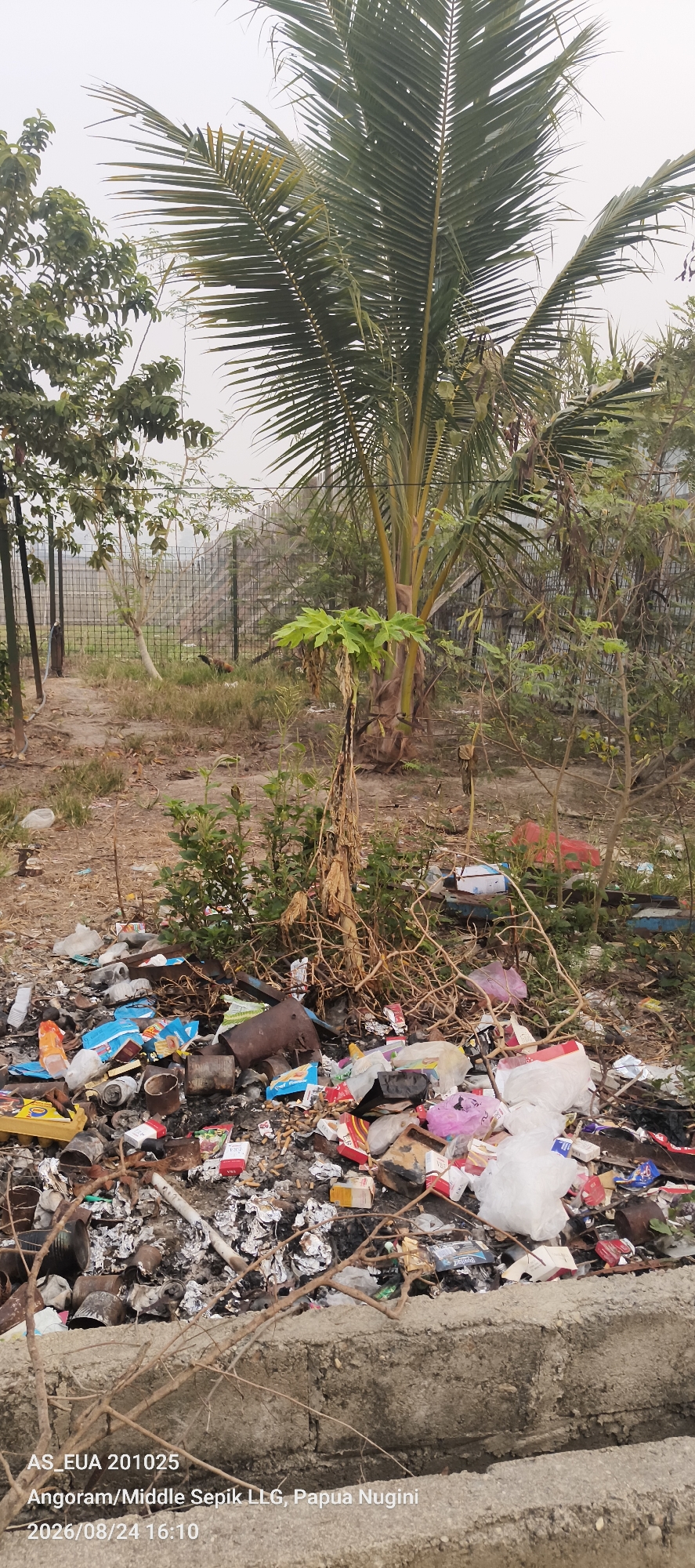 The image shows a pile of garbage and debris in an outdoor environment, likely a roadside or unkempt area. Among the trash are plastic bags, cigarette packs, tin cans, and general refuse. A coconut palm tree is visible in the background, along with other vegetation and a wire fence. The ground is dirt and scattered leaves. Text overlay indicates the location as "Angoram/Middle Sepik LLG, Papua Nugini" and a date of "2026/08/24 16:10". There are no people or animals clearly visible in the image. The scene appears to be one of litter and neglect.