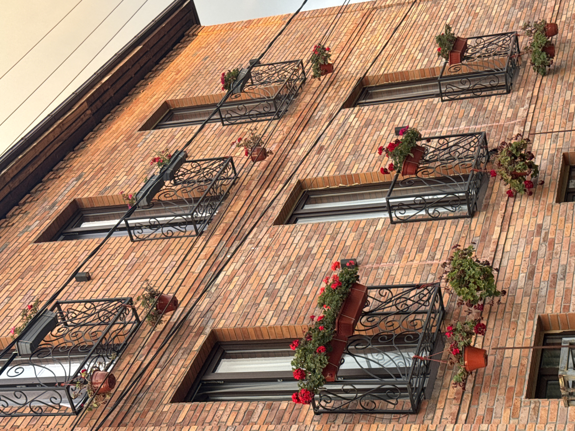 An upward-angle, eye-level shot captures a multi-story brick building adorned with numerous flower boxes overflowing with red geraniums. The building, situated in Sokhumi, Abkhazia, features dark-framed windows and ornate black metal railings on small balconies. Wires are strung across the facade, and the brickwork is a warm, reddish-orange hue. Several potted plants are suspended from the railings, adding to the vibrant floral display. The sky above is a muted, overcast grey. The scene depicts a residential or commercial building with a focus on its decorative elements.