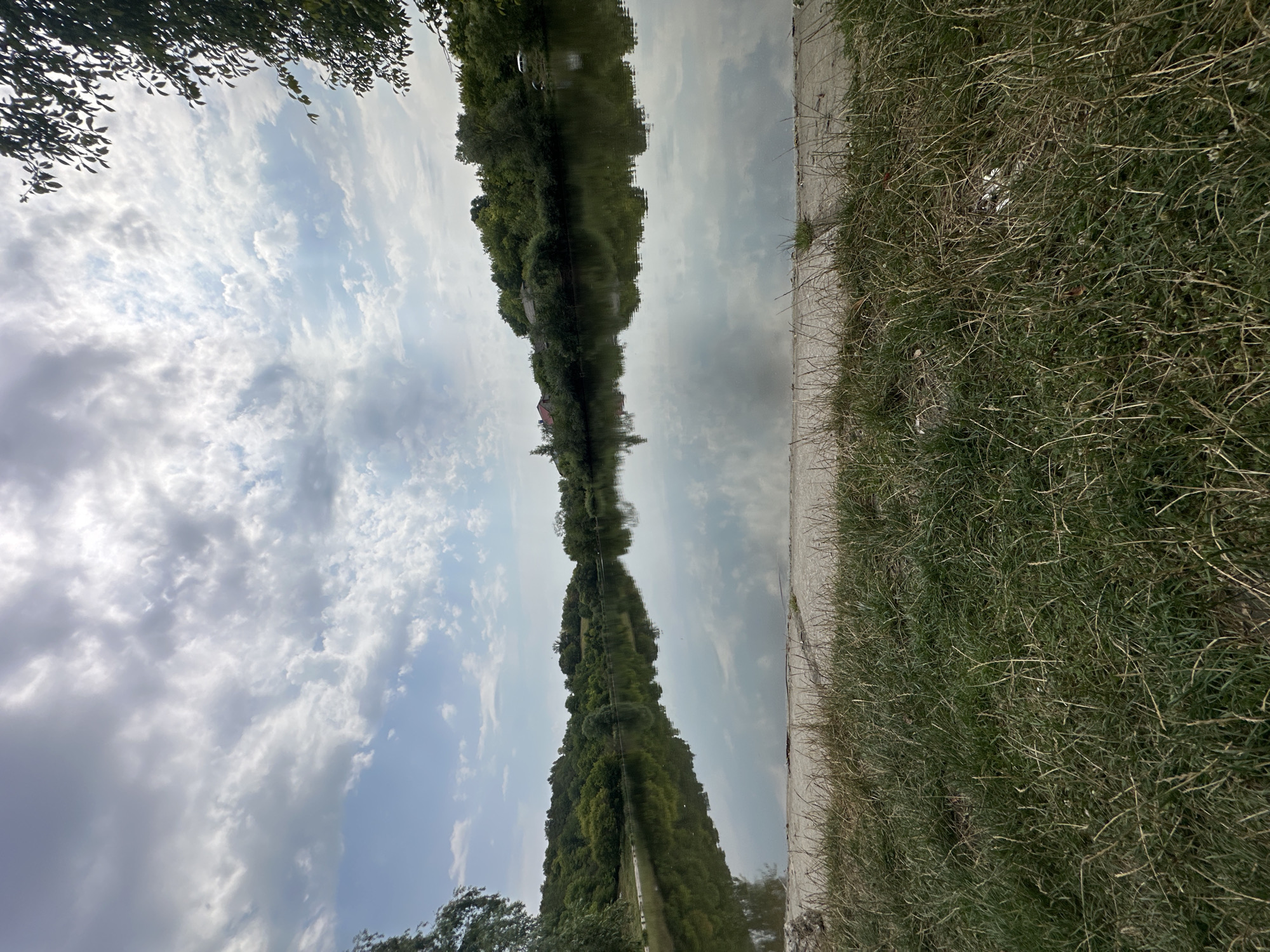 The image depicts a serene natural landscape bordering a body of water, likely a lake or wide river, with a backdrop of lush green trees and a cloudy sky. The foreground is dominated by a strip of dry, overgrown grass and a concrete embankment. The water's surface is calm, reflecting the sky and the dense foliage on the opposite bank. A few scattered red-roofed buildings are visible amidst the trees on the far side, suggesting a rural or semi-rural setting. The sky is filled with a dramatic display of white and grey clouds, interspersed with patches of blue. The overall impression is one of tranquility and natural beauty. This scene is located in the village of Makiv, Ukraine.