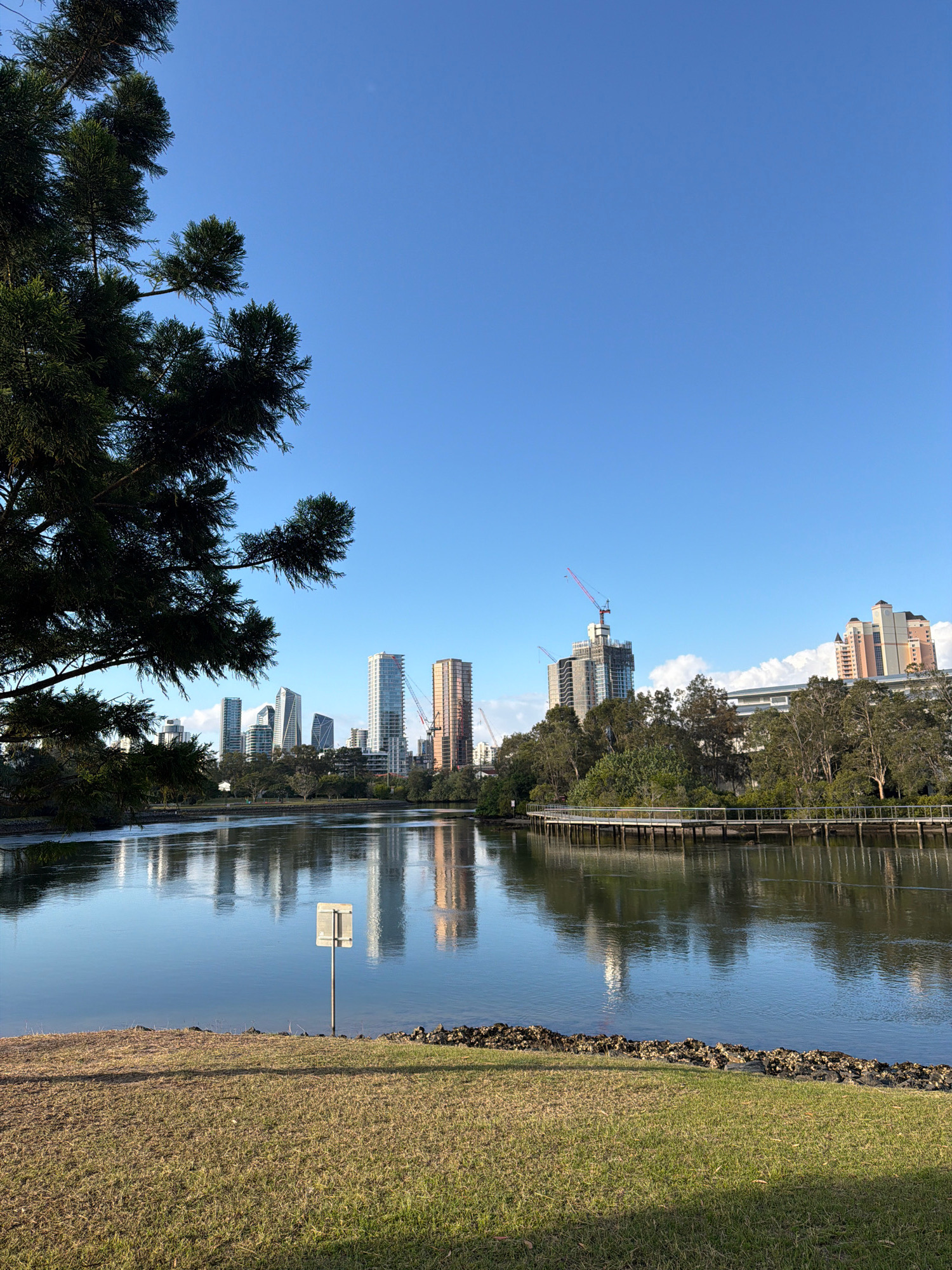 The image depicts a tranquil waterscape in Broadbeach Waters, Australia, under a clear blue sky. In the foreground, a patch of dry, mowed grass slopes down to the edge of a body of water, with scattered rocks along the embankment. A solitary signpost stands in the shallow water near the grassy bank. A large, dark green coniferous tree dominates the left side of the frame, its branches extending over the scene.
Across the water, the Broadbeach skyline is visible, characterized by a collection of modern high-rise buildings. Some of these structures appear to be under construction, with cranes visible in the background. A wooden boardwalk runs along the opposite bank, bordered by lush green trees and vegetation. The water itself is calm, reflecting the sky and the surrounding buildings, creating a mirror-like effect. The overall scene conveys a sense of peaceful coexistence between nature and urban development.