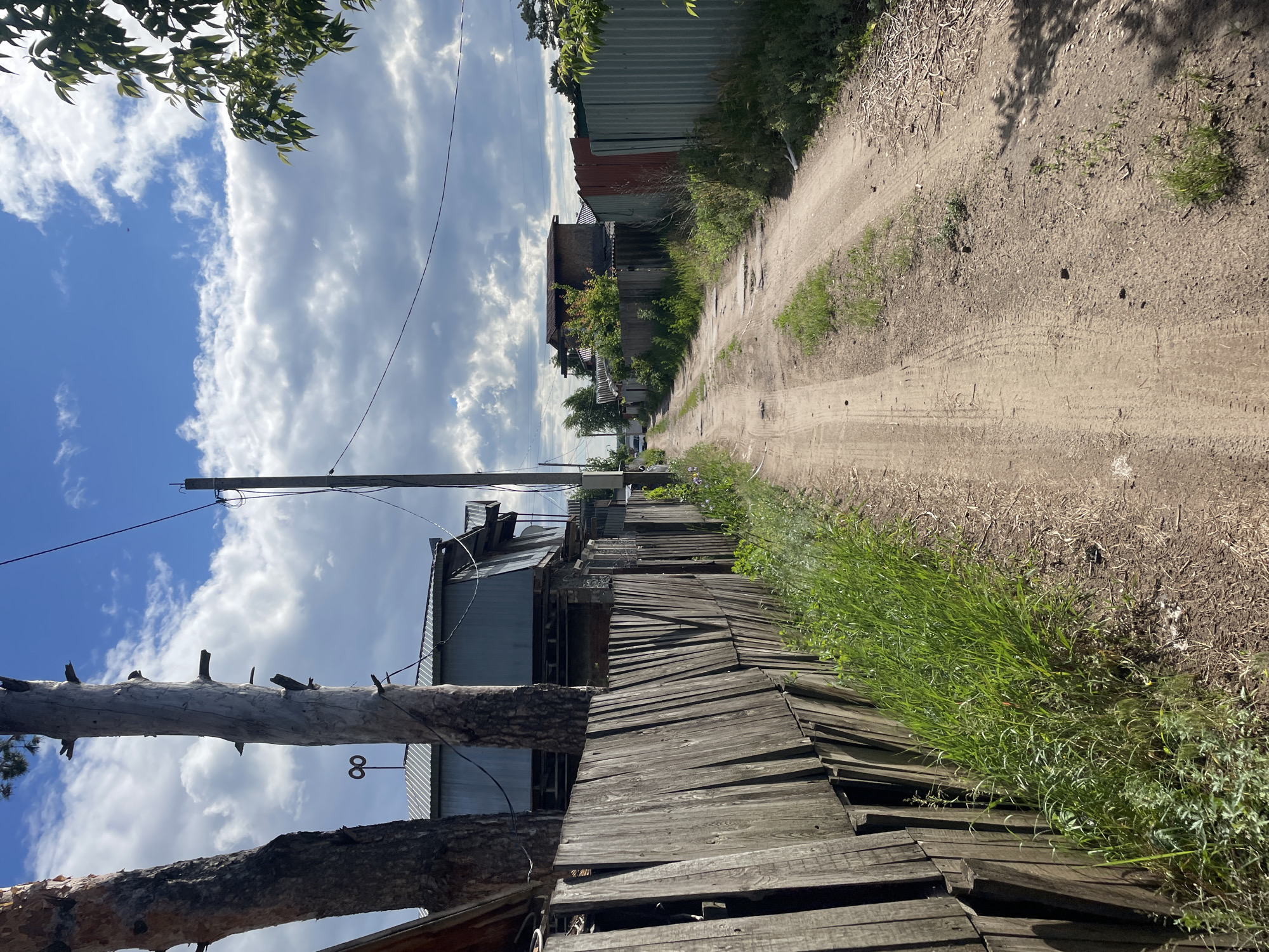This image depicts a dirt road in Vasilevka, Russia, under a partly cloudy blue sky. The unpaved road, showing tire tracks, extends into the distance, bordered by fences and structures on both sides. On the left, a weathered wooden fence runs along the roadside, with tall green grass growing between it and the road. Behind the fence, several buildings with corrugated metal roofs are visible, along with two prominent tree trunks, one appearing bare. A metallic, infinity symbol-shaped ornament is visible on a rooftop in the mid-ground on the left. Utility poles and power lines traverse the scene. On the right, various fences, including sections of green and reddish-brown corrugated metal, line the road. Beyond these fences, additional houses or structures, partially obscured by green vegetation and trees, are visible. A white vehicle is faintly discernible in the far distance on the right side of the road. A tree branch with green leaves extends into the upper right corner of the frame. The scene is brightly lit by natural sunlight, casting discernible shadows. No individuals are present.