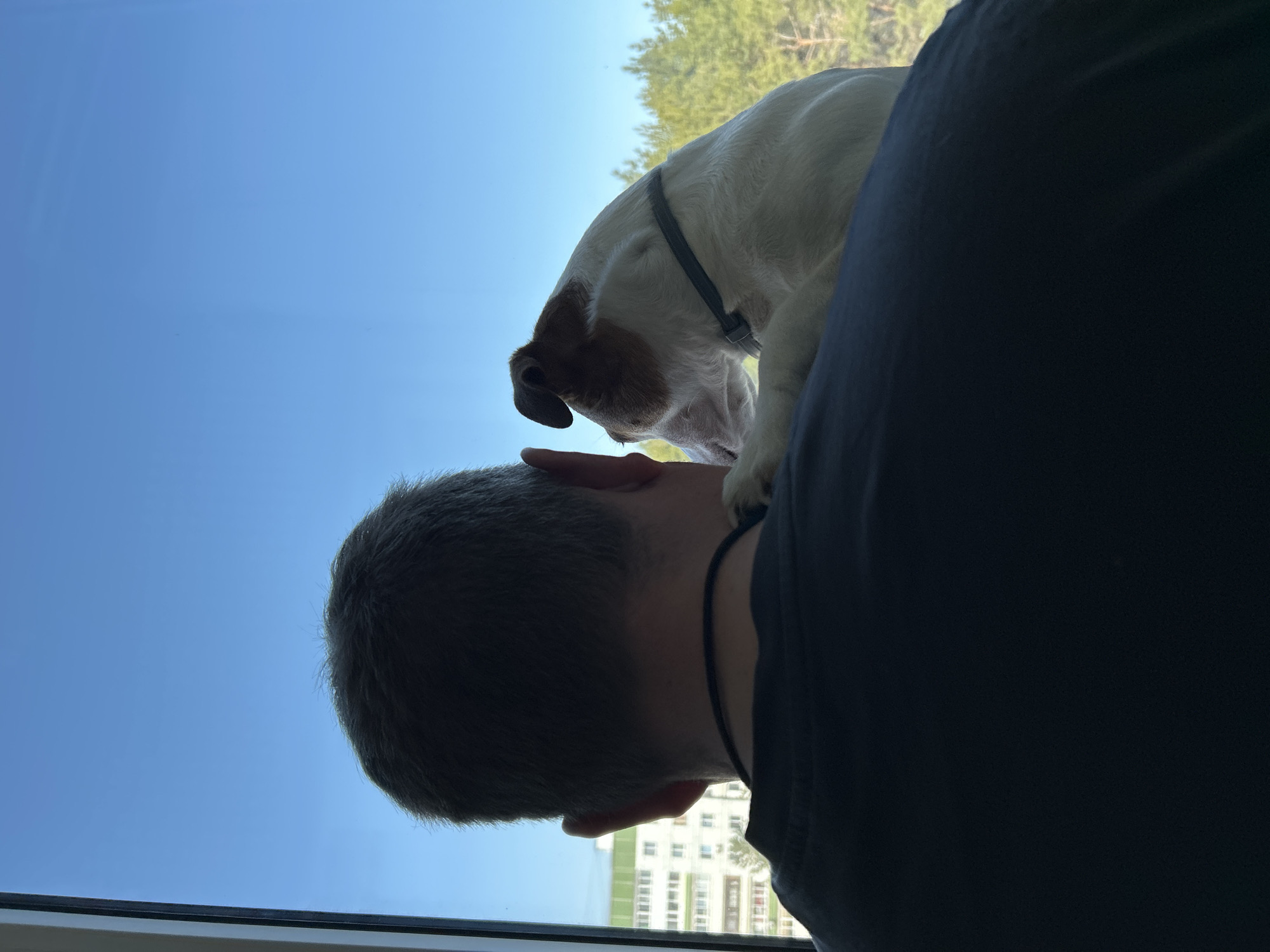 A man stands by a window, with a white and brown Jack Russell Terrier dog perched on his shoulders. The man has short gray hair and is wearing a dark blue t-shirt. The dog is wearing a gray collar. Outside the window, the sky is blue, and trees are visible in the distance. Part of a building is visible on the outside. This could be in the city of Chaikovsky, Russia.