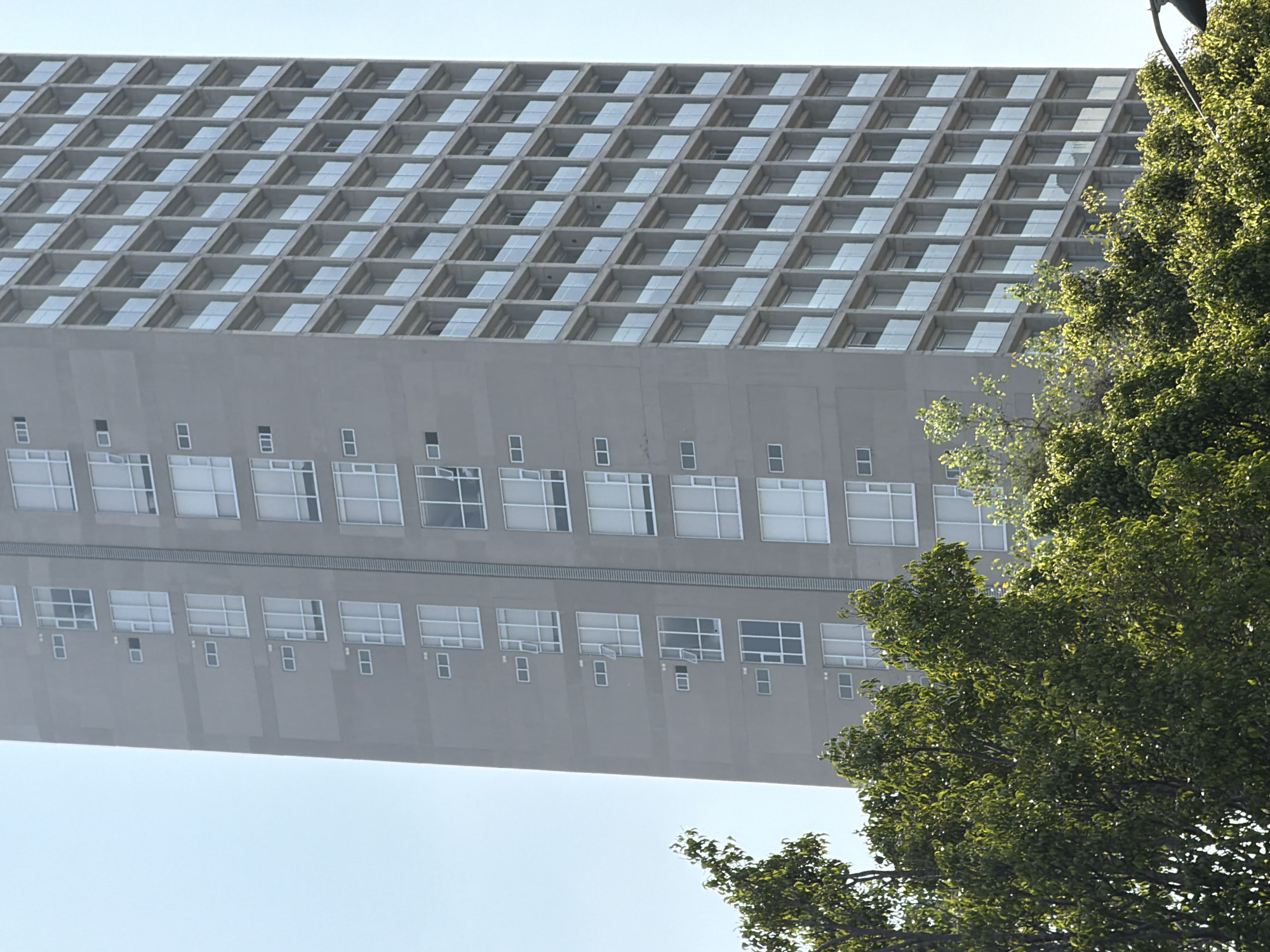 Here's a description of the image:
The image shows a section of a building with a distinctive waffle-like facade, partially obscured by lush green trees. The upper portion of the building features a grid of square recesses, possibly housing windows or skylights. The lower section has a row of rectangular windows with small, square elements positioned above each window. The building is a light, neutral color. The sky is visible in the gaps between the building and the trees, suggesting a clear day. The perspective is from a low angle, looking up at the building. The trees are located on the right side of the image and partly cover the building facade.
The building is located in Puebla, Mexico.