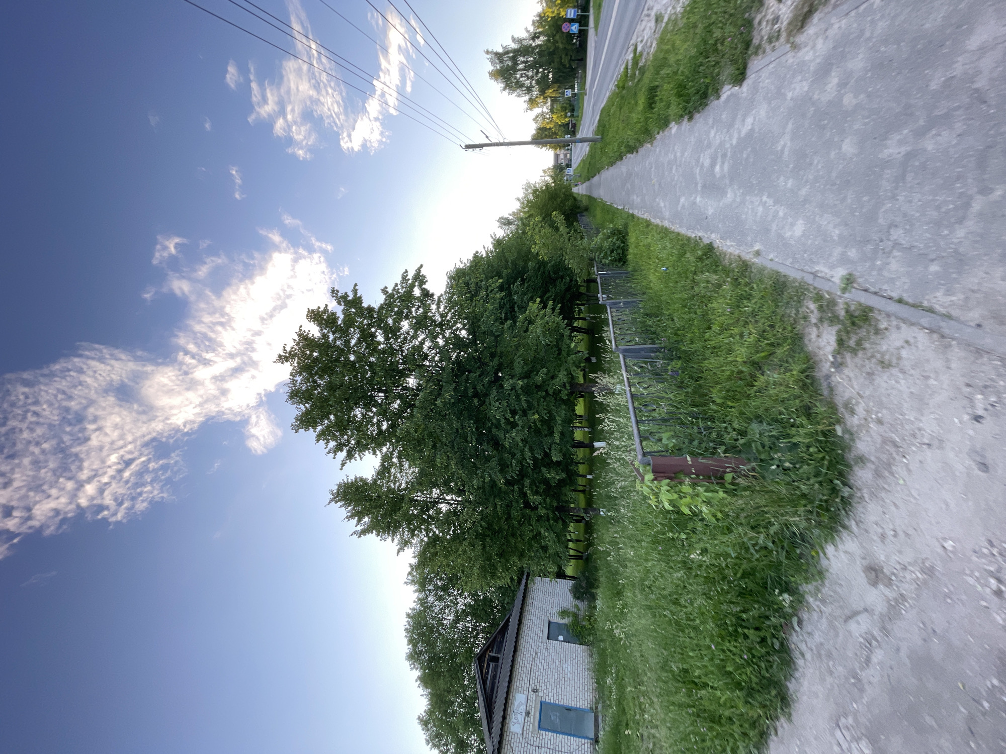 The image shows a wide shot of a sidewalk next to a road in Krasnye Baki, Russia. On the left side of the sidewalk, there is a low metal fence and tall grass. Behind the fence, there is a single-story building made of white brick with a blue door. Further to the left and behind the building are several tall, green trees. The sidewalk continues to the right, bordered by grass on the left and the road on the right. The road has white lines marking the lanes and several traffic signs. There are utility poles with power lines running along the right side of the road. In the distance, more trees and buildings can be seen. The sky is blue with scattered white clouds. The scene appears to be an outdoor, daytime setting.