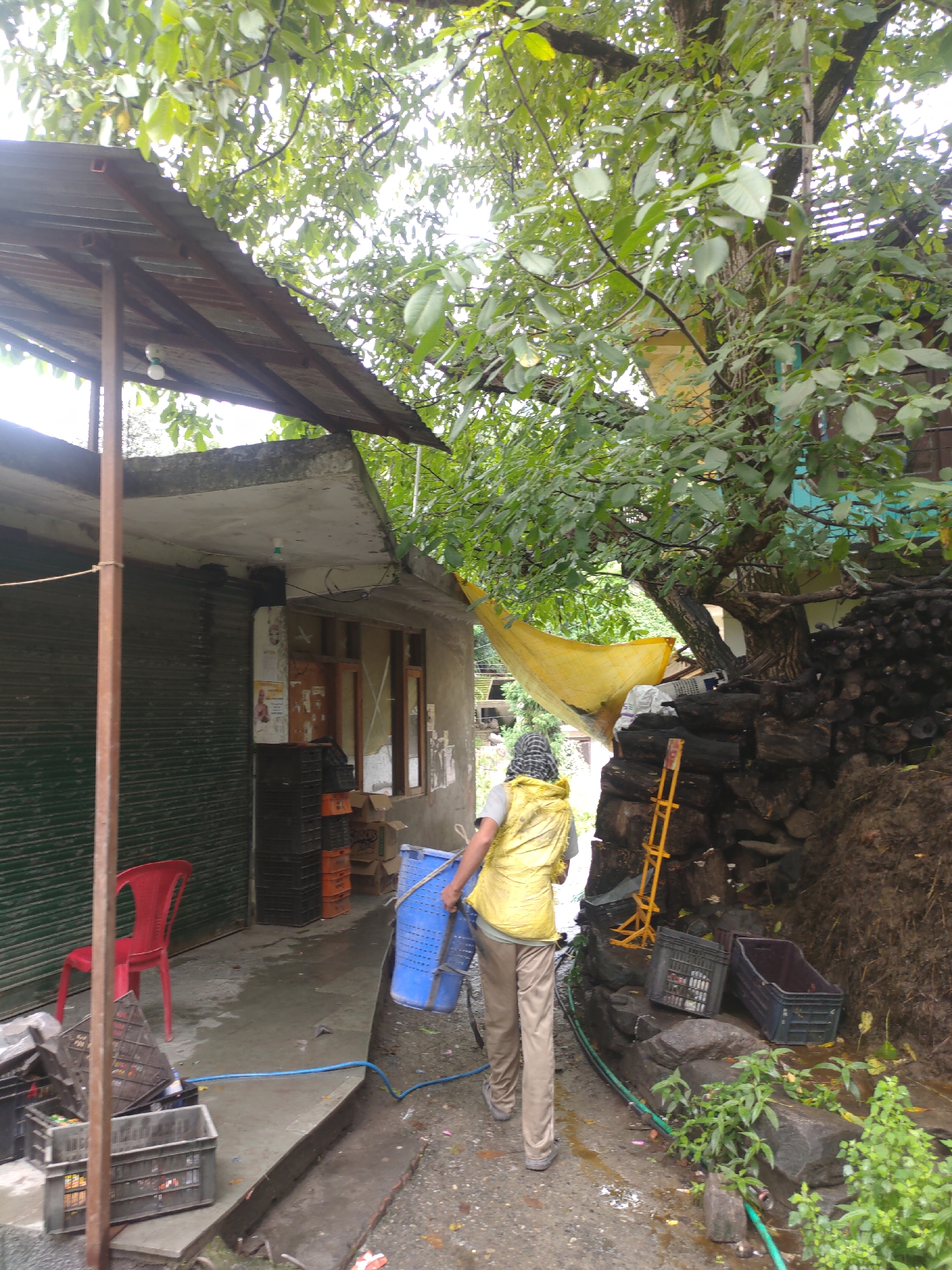 In the city of Siyal, India, a person wearing a yellow vest and a headscarf walks away from the camera, carrying a large blue basket. They are walking on a wet, paved surface. To their left, a red plastic chair is visible next to a large, dark green metal door. Several grey and orange plastic crates are stacked nearby. In the background, a small building with a corrugated metal roof stands under a large tree with green leaves. A yellow tarp is draped over part of the building and the tree. To the right of the person, a pile of dark wood is stacked against a muddy embankment. A yellow ladder leans against the woodpile. The scene appears to be an outdoor area, possibly a market or a storage area, with signs of recent rain or dampness.
