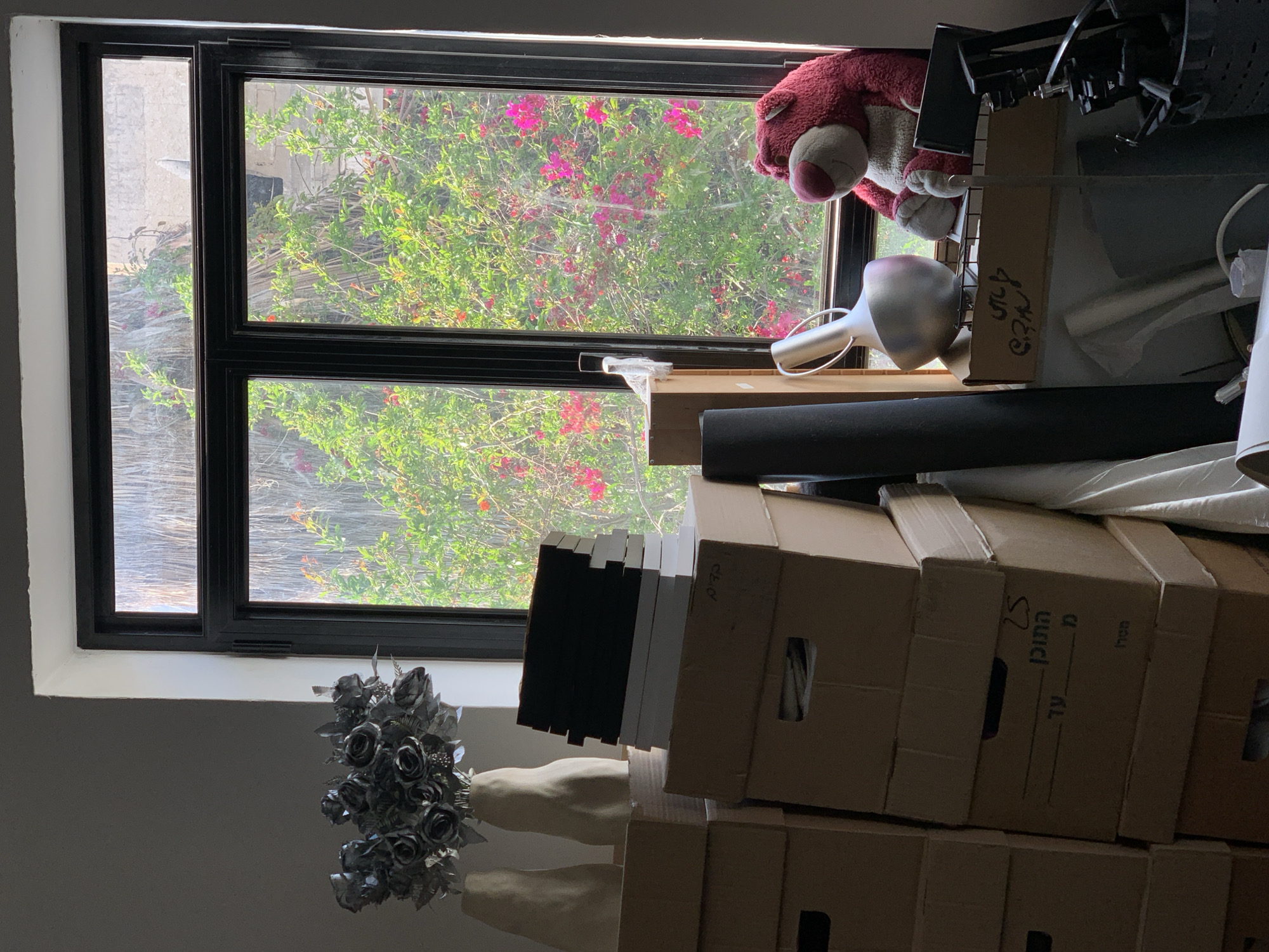 The scene depicts an interior room looking outwards through a black-framed, multi-pane window. The room appears to be a storage area or a transitional space, evidenced by its contents.
**Environment and Location:**
The exterior view through the window reveals dense, vibrant green foliage interspersed with abundant bright pink/red bougainvillea flowers, characteristic of a Mediterranean climate. Above the flowering bushes, dried palm fronds or similar vegetation are visible, and through the upper right pane, a light-colored concrete block wall is partially discernible. The presence of Hebrew text on several boxes inside the room, combined with the specific vegetation and window style, strongly indicates a location in Israel, consistent with the urban environment of Tel-Aviv. The lighting suggests daytime conditions.
**Interior Objects and Arrangement:**
**Left Side:**
Against a dark grey wall, two light-colored, irregularly shaped ceramic vases are positioned on a surface, likely a stacked box. One vase contains a bouquet of approximately twelve dark, possibly metallic or painted, faux roses with complementary dark foliage. Below these items, a significant stack of approximately eight brown cardboard storage boxes occupies the lower left quadrant of the image. Some boxes exhibit wear. Partial Hebrew writing is visible on at least two boxes, including "התוכן" (The Content), the number "25", and "מטרה" (purpose/goal). On top of one of the central boxes, a stack of twelve books is arranged: the top six books have dark spines, and the bottom six have light spines.
**Right Side:**
On a ledge or box surface near the lower right window pane, a large, red plush bear (resembling Lotso from Toy Story, with a white snout and lighter belly) sits upright. Adjacent to the bear, a shiny, silver-colored, possibly metallic, jug-like object with a handle is positioned. Below these items, another cardboard box is visible, bearing faded Hebrew script. Leaning vertically against a surface are several dark-colored rolled objects, possibly mats or posters. To the far right, a dark, possibly woven plastic basket contains multiple dark, slender items, suggestive of equipment stands or components. Additional indistinct items, including rolls of paper or fabric and cables, are visible on the floor or lower surfaces.