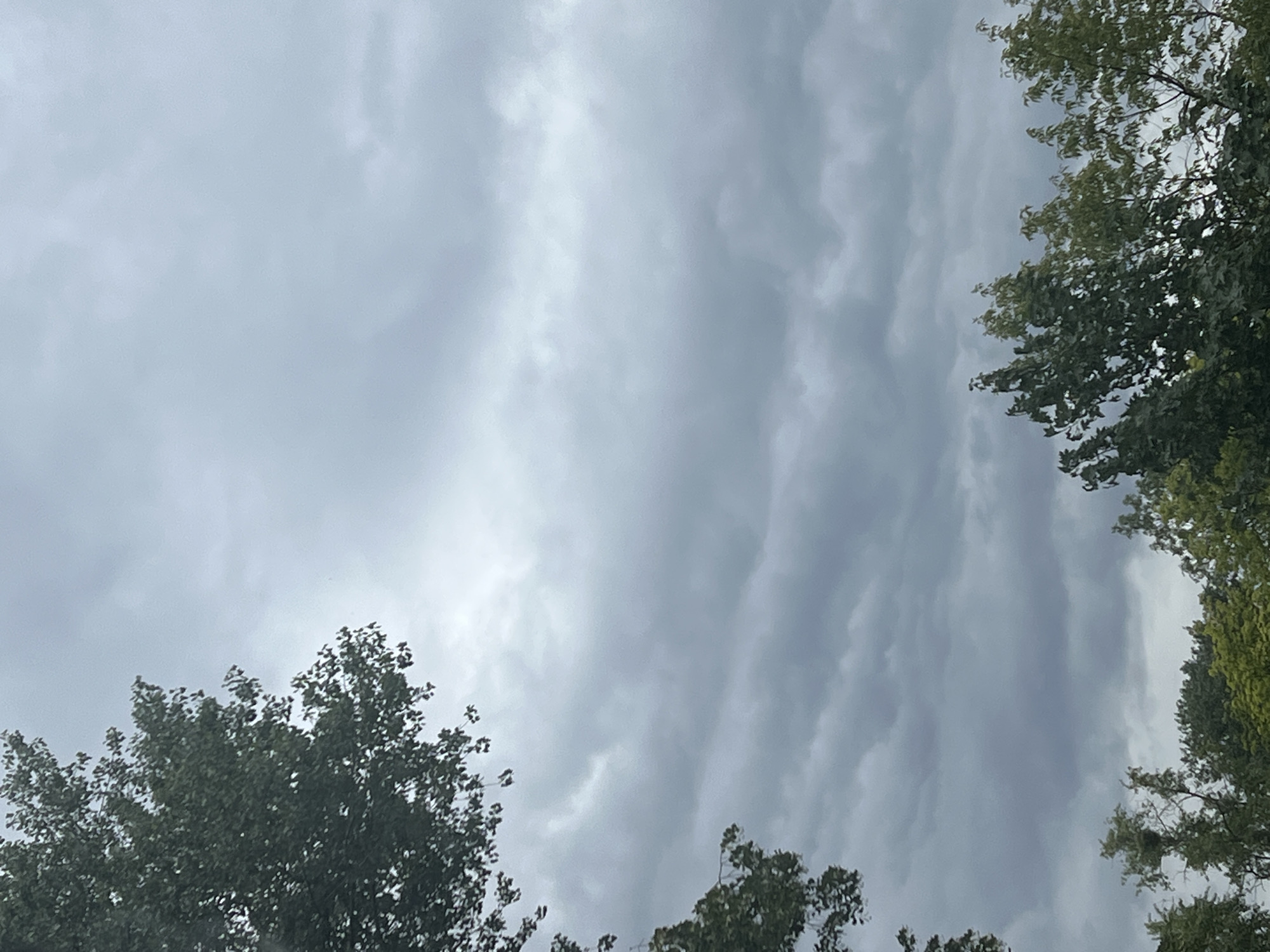This image depicts a cloudy sky with trees in the foreground. The clouds are gray and appear to be heavy, suggesting overcast weather. The trees are green and leafy, indicating a temperate season. The image was taken in Warsaw, Poland.