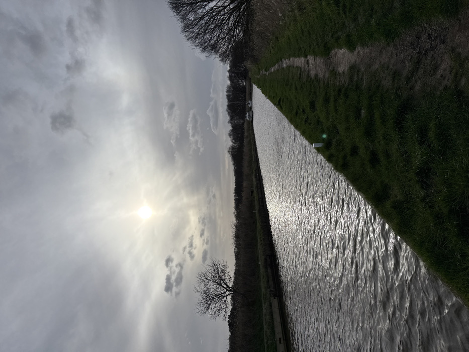 This image depicts a straight, narrow waterway, likely a canal or river, under a partially cloudy, grey sky in North Norfolk, United Kingdom. The sun is a bright, radiating point in the upper left quadrant, creating a strong lens flare and a prominent, shimmering reflection path across the dark, rippled water.
The waterway's left bank features a low, dark edge, possibly concrete, behind which dense, dry reeds and bare scrubland extend into the distance. A solitary, bare deciduous tree with a wide, gnarled canopy stands prominently on this left bank in the mid-distance. The right bank consists of a strip of green grass, approximately two meters wide, alongside which runs a well-trodden, unpaved dirt path, roughly one meter in width. Two small, white cylindrical posts are visible on the grassy verge between the path and the water, spaced along the bank.
In the far distance on the waterway, two white leisure boats are visible, appearing stationary or slowly moving away. The horizon beyond the waterway and banks is marked by a line of distant, bare trees. The overall lighting indicates backlighting from the low sun, creating strong contrast and shadowing parts of the foreground path and banks. No individuals or animals are present in the scene.