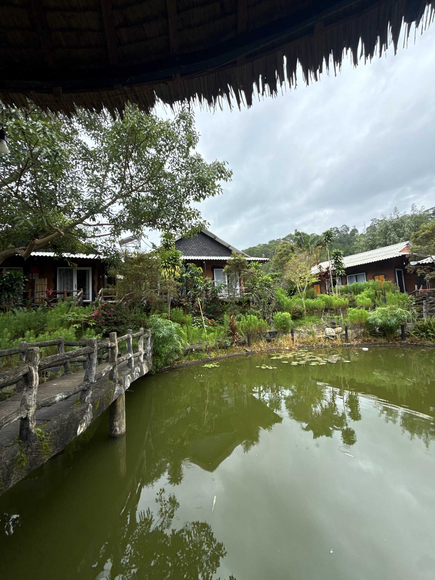 The image depicts a serene, somewhat overcast day in Hiệp Thạnh, Vietnam, focused on a natural landscape with man-made structures. In the foreground, a rustic, weathered wooden bridge arcs over a murky, greenish pond. The pond's surface is dotted with lily pads and reflects the surrounding environment. To the left of the bridge, a portion of a thatched roof structure is visible, suggesting an overhang or shelter.
Beyond the pond, a row of small, wooden chalets or bungalows with white-trimmed roofs are nestled into a lush, green hillside. These structures appear to be of a simple, natural design, with dark wood siding and visible windows. They are surrounded by abundant vegetation, including trees, shrubs, and flowering plants in shades of green and pink. The hillside rises behind the chalets, covered in dense greenery and trees, with a hint of a cloudy sky peeking through the foliage. The overall atmosphere is one of tranquility and integration with nature, characteristic of a resort or a peaceful residential area in a tropical or sub-tropical region.