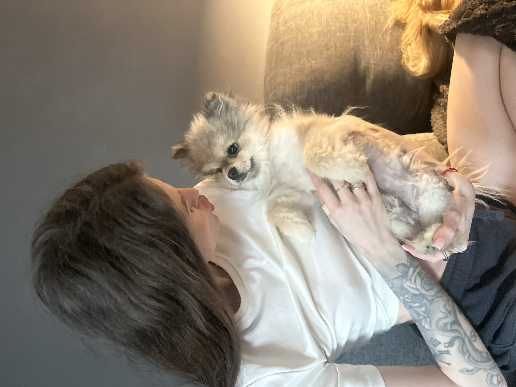 A young woman with long, dark brown hair, wearing a white t-shirt and dark shorts, is holding a small, fluffy, light brown Pomeranian dog. The woman is looking down at the dog, and her left arm is extended, with tattoos visible on it. The dog is held in her arms, facing the woman. They are seated on a sofa, with a pillow behind them and a blanket in the foreground. The background is a plain, dark gray wall. The lighting suggests an indoor setting, possibly a living room, with a warm light source to the right. The overall scene conveys a sense of warmth and affection between the woman and her pet. The location is unknown.