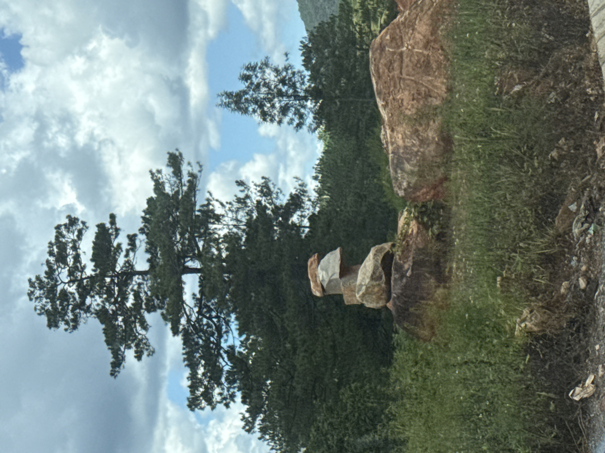 The image shows a natural outdoor scene, likely in the vicinity of Đa Bla, Vietnam, characterized by a balance of flora and geological features. Dominating the background is a dense evergreen forest, with tall trees reaching towards a sky filled with dramatic, large cumulus clouds interspersed with patches of blue. In the mid-ground, a prominent rock formation, composed of several stacked stones, is arranged in a deliberate, almost sculptural manner. This cairn-like structure stands amidst lush green vegetation, including tall grasses and smaller flowering plants, suggesting a wild or semi-wild environment. To the right of the stone formation, a large, reddish-brown boulder rests on the ground, its textured surface partially visible. The overall impression is one of a serene, natural landscape with a touch of human intervention in the form of the stacked rocks. The lighting suggests daytime, possibly late afternoon, given the contrast between the clouds and the sunlit areas. There are no people visible in the frame.