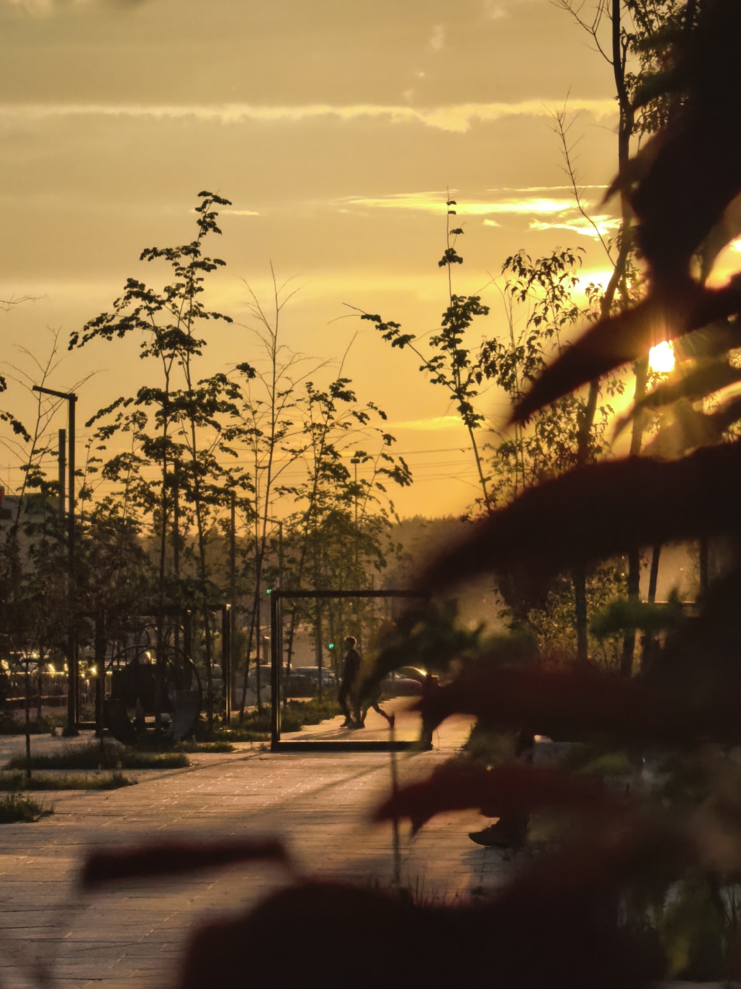 The image depicts an outdoor scene at sunset, likely in a park or public space in Unknown, Unknown. The sky is filled with a warm, golden-orange hue, indicating the sun is low on the horizon, with some wispy clouds present. Silhouetted trees with thin trunks and sparse foliage are scattered throughout the frame, some appearing to be young saplings, while others are taller.
In the mid-ground, a paved pathway runs diagonally from the lower left to the upper right. On this pathway, two figures are visible. One, closer to the viewer, appears to be standing or walking slowly, while the other is further down the path, possibly in motion. There are also some lampposts with dark poles, one of which is clearly visible on the left side of the pathway. In the background, a dense line of trees forms a dark silhouette against the bright sky, with hints of distant buildings or structures peeking through.
The foreground is dominated by blurred, dark foliage, creating a framing effect and adding depth to the image. Some light sources, likely artificial, are visible in the distance, casting a warm glow on the pathway. The overall atmosphere is serene and tranquil, with the natural beauty of the sunset amplified by the silhouettes of the trees and the human presence on the path.