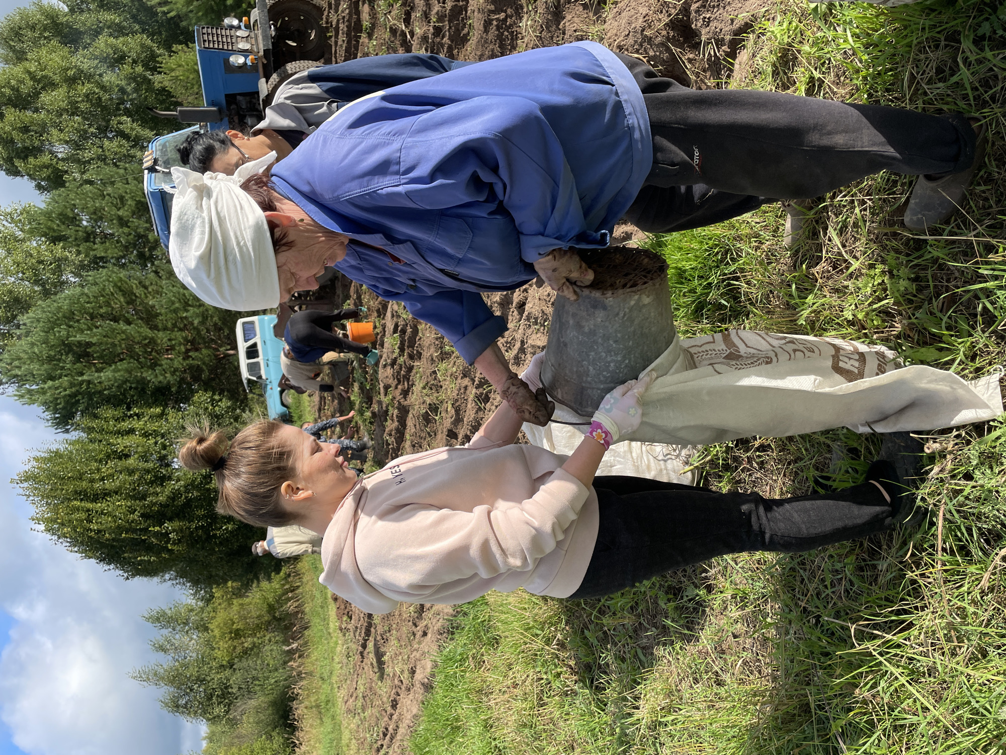 In a field in the village of Baldeyka, Russia, on a sunny day, two women are engaged in harvesting. One woman, wearing a pink hoodie and black pants, holds a burlap sack open. The other woman, dressed in a blue jacket and white headscarf, is pouring potatoes from a metal bucket into the sack. In the background, a blue tractor is visible, along with other people working in the field. The ground is tilled, with rows of soil suggesting a crop has recently been harvested. Lush green grass borders the tilled area, and trees form a backdrop under a partly cloudy sky.