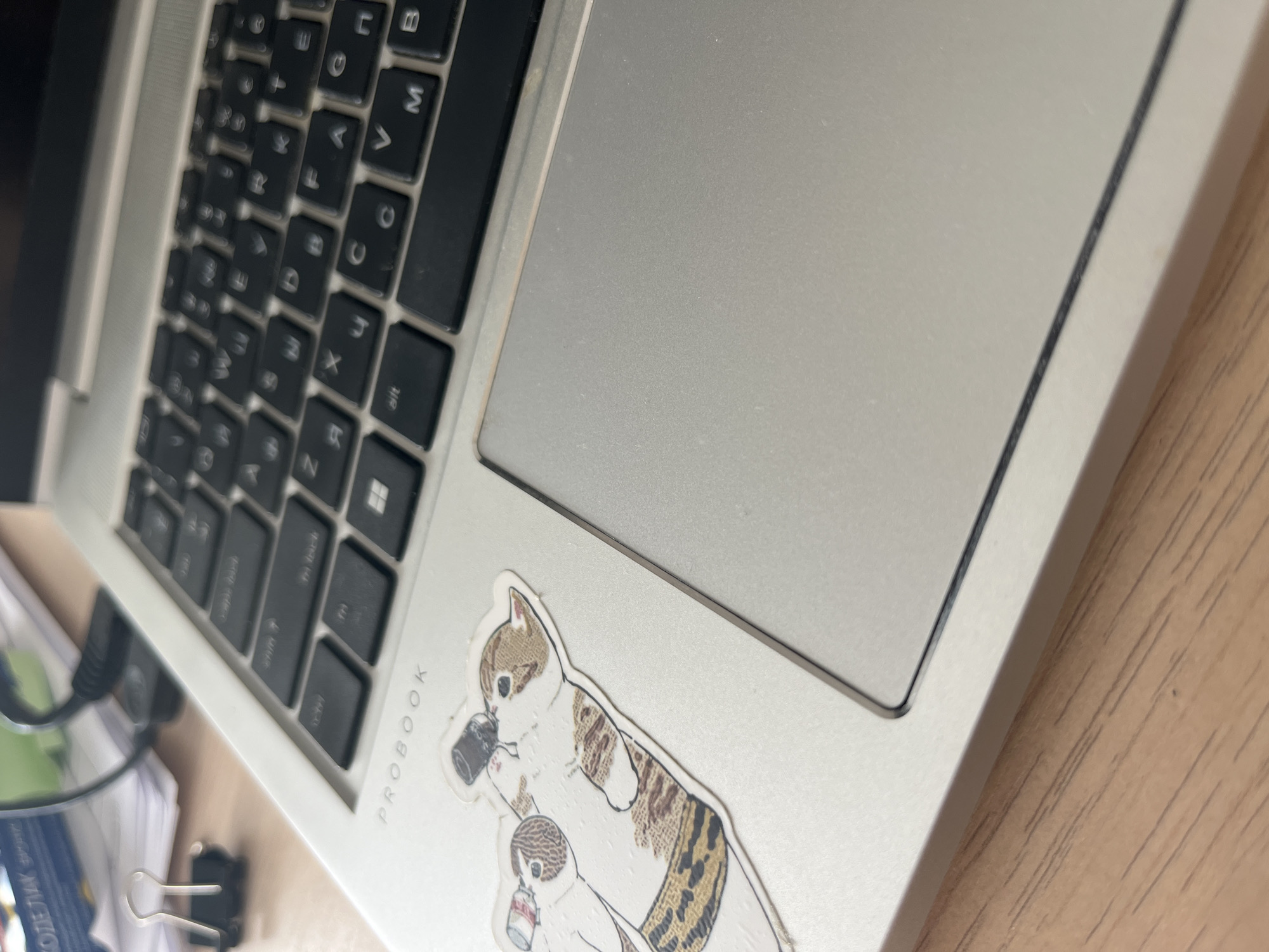 A close-up, high-angle shot of a silver HP ProBook laptop is shown on a wooden surface. The laptop is open, revealing the keyboard and trackpad. The keyboard is a standard QWERTY layout with some Cyrillic characters visible. A sticker of a cat drinking from a bottle is placed on the palm rest below the keyboard. In the background, a black binder clip rests on a stack of papers and a black cable. The scene is well-lit, with the light source appearing to be from the right. There is no indication of the city of Yelabuga, Russia, or any people present in the image.