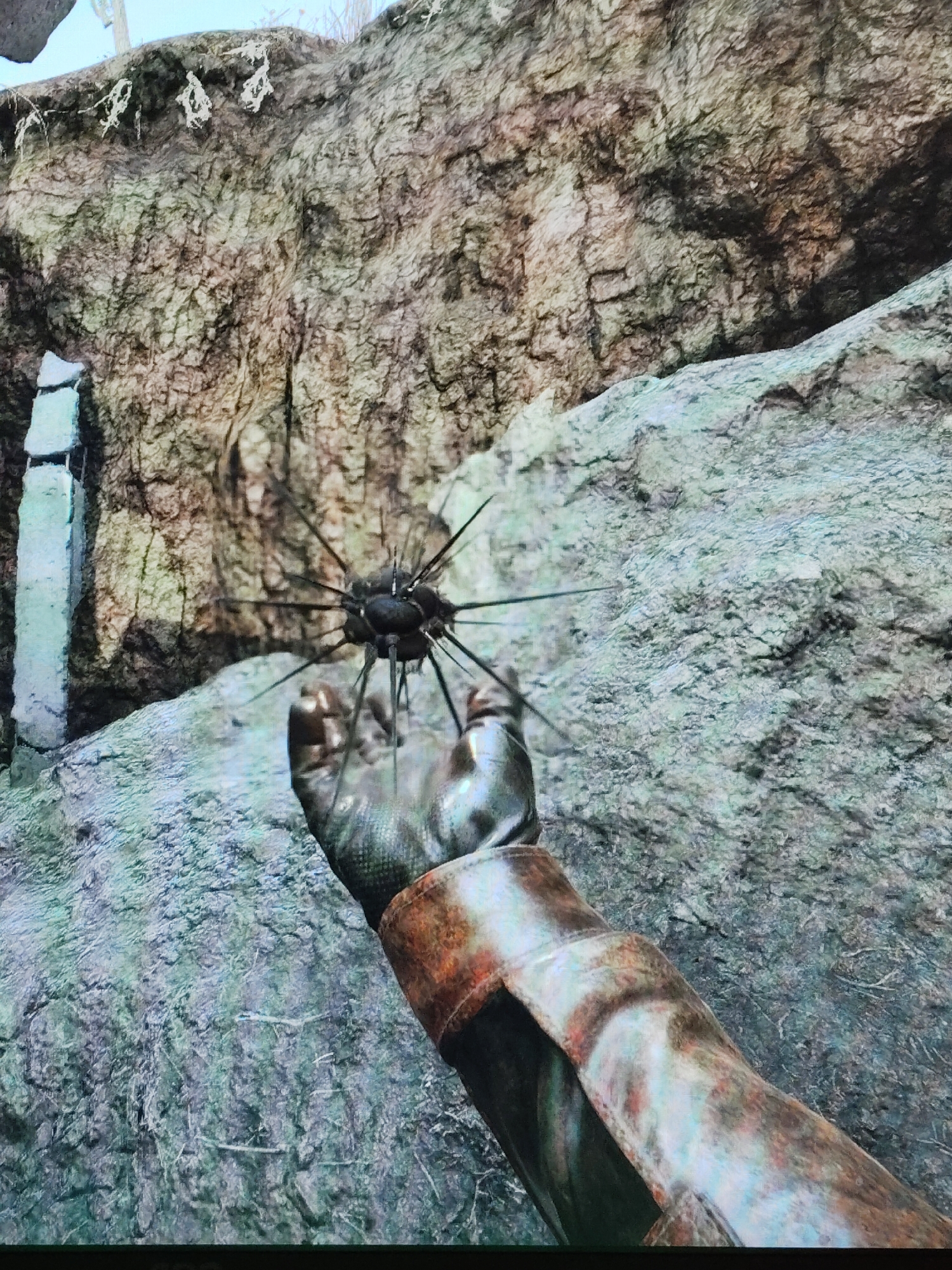 The image displays a first-person perspective, likely from a video game, focusing on a gloved hand holding a distinct spiky, spherical object. The hand is encased in a weathered gauntlet, appearing to be made of rusted metal or aged leather, showing significant wear and discoloration. The object held is dark, round, and covered with numerous sharp, thin spikes radiating outwards in all directions, suggesting it could be a unique weapon, tool, or an organic specimen.
The scene is set in a rugged outdoor environment, dominated by a large, textured rock formation or cliff face that fills the background. The rock surfaces are rendered in earthy tones of brown, green, and gray, indicating natural weathering and possibly moss or lichen growth. To the left of the hand, a light-colored, rectangular stone structure, possibly an ancient pillar or ruin, stands partially visible against the darker rock. The ground in the foreground also consists of rough, textured rock.
The lighting appears to be natural daytime, though diffuse, without strong shadows to indicate direct sunlight. The overall atmosphere conveyed by the rocky landscape and worn aesthetics is one of wilderness or ancient history. No other individuals or discernible text are visible in the image. The visual quality suggests it is a photograph of a screen displaying digital graphics, with a subtle pixel grid evident across the surface.