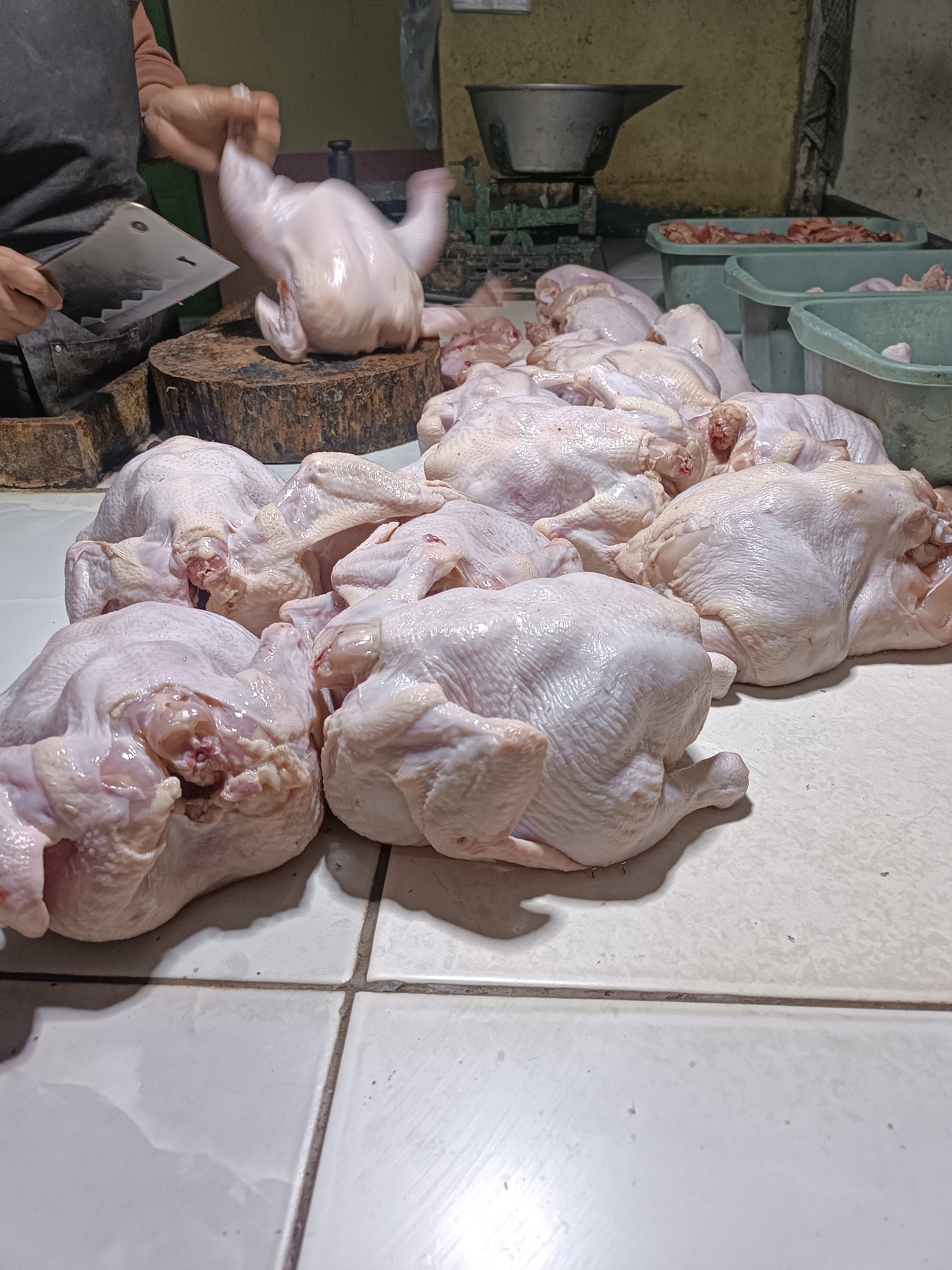 In Sewon, Indonesia, a person wearing an apron is preparing whole chickens in what appears to be a marketplace or butcher shop. Several raw chickens are laid out on a white tiled surface. A large cleaver is held by the person, poised above a whole chicken that is on a wooden chopping block. In the background, there are scales and plastic containers filled with what appears to be chicken meat. The lighting is dim, suggesting an indoor environment.