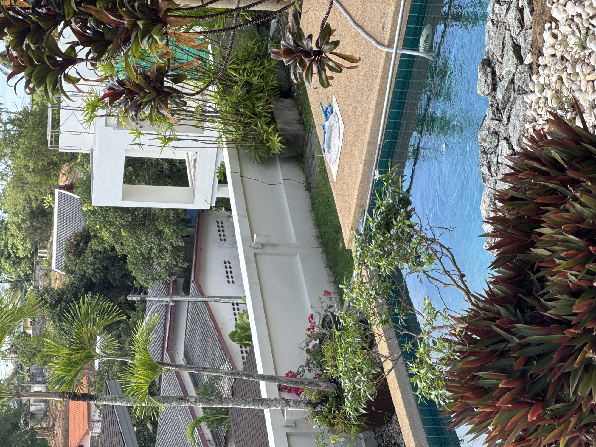 The image depicts a residential swimming pool area in Rawai, Thailand. A rectangular pool with blue water is bordered by a tan-colored concrete deck and tiled coping. The pool's edge is lined with decorative rocks and white pebbles, partially obscured by reddish-brown plants with spiky leaves. A pool net rests on the deck.
A white wall runs parallel to the pool, adorned with various plants. Behind the wall, rooftops of adjacent houses are visible, along with lush greenery and trees. The architecture features a modern white structure with a rectangular opening. Palm trees are also visible in the background.