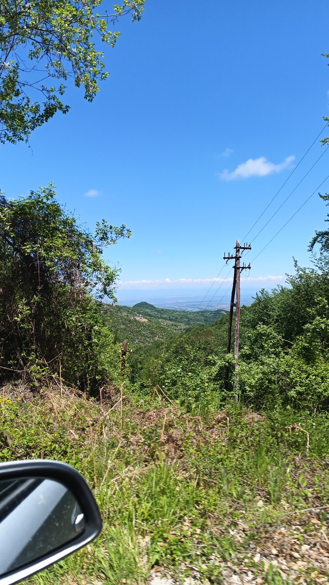 The image captures a landscape view, likely taken from a moving vehicle based on the presence of a side mirror in the lower left corner. The foreground is dominated by lush green vegetation including grass and bushes, typical of an overgrown roadside. Slightly further into the frame, a wooden utility pole stands amidst the foliage, with power lines stretching across the upper right quadrant of the image towards the horizon. Beyond the immediate greenery, the scene opens up to reveal a valley landscape, with distant hills and a suggestion of a plain or a large body of water under a clear, blue sky with wispy clouds. The location is plausibly near Oreshets, Bulgaria, consistent with its rural and mountainous terrain. No people are visible in the image. The overall impression is a view of the countryside seen while driving through a rural area.