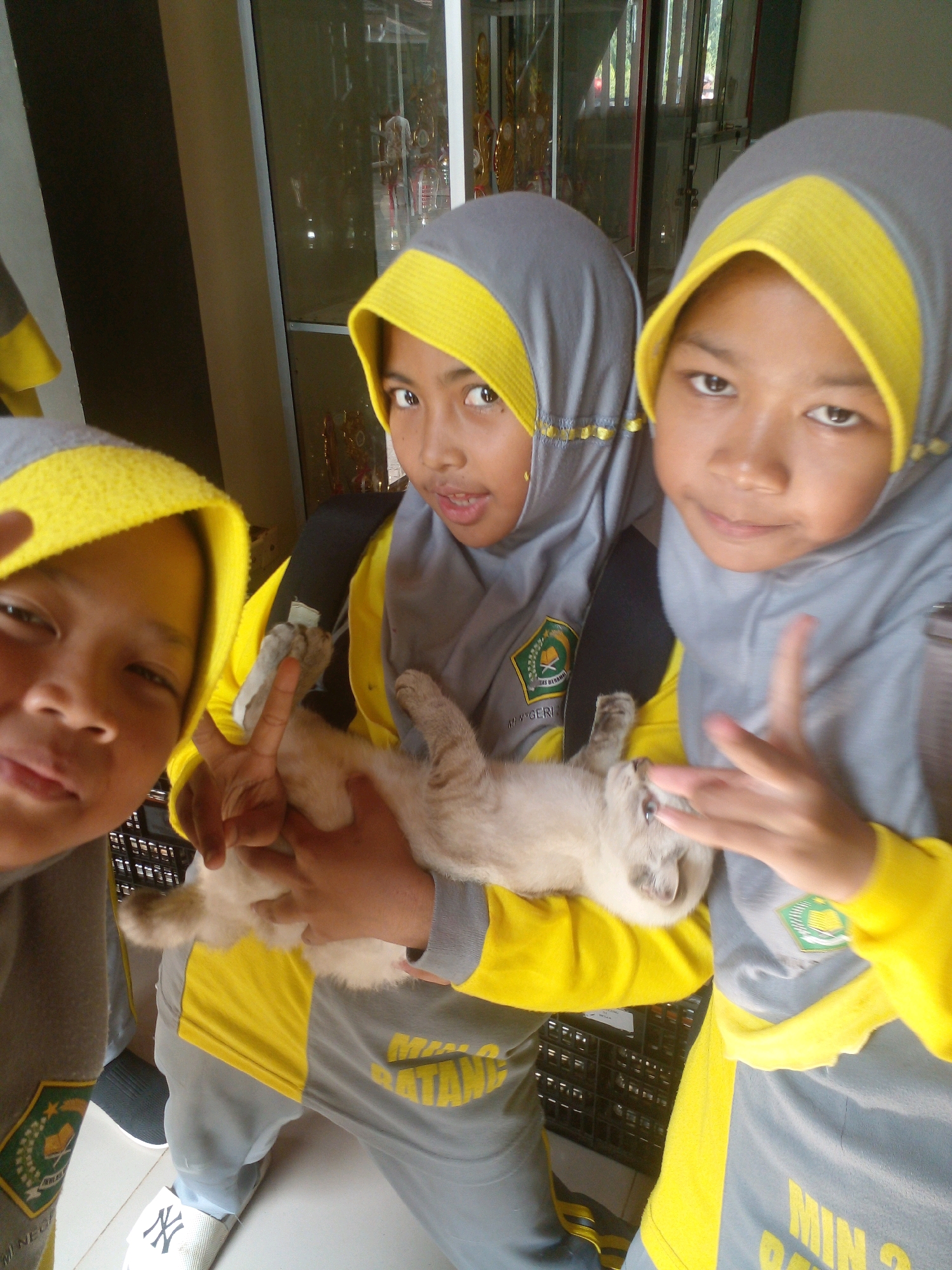 Three young individuals wearing grey and yellow hijabs and tracksuits pose for a photo, with two of them holding a light-colored kitten. The individuals are identified by their clothing as being from MIN 3 Batang, a school located in Banyuputih, Batang Regency, Central Java, Indonesia. The background appears to be a display cabinet filled with trophies and awards, suggesting an institutional or school setting. One individual is looking directly at the camera with a surprised expression, while the other two are also looking towards the camera. The kitten is held gently by two of the individuals. The overall impression is a candid snapshot of students and their pet in a school environment.