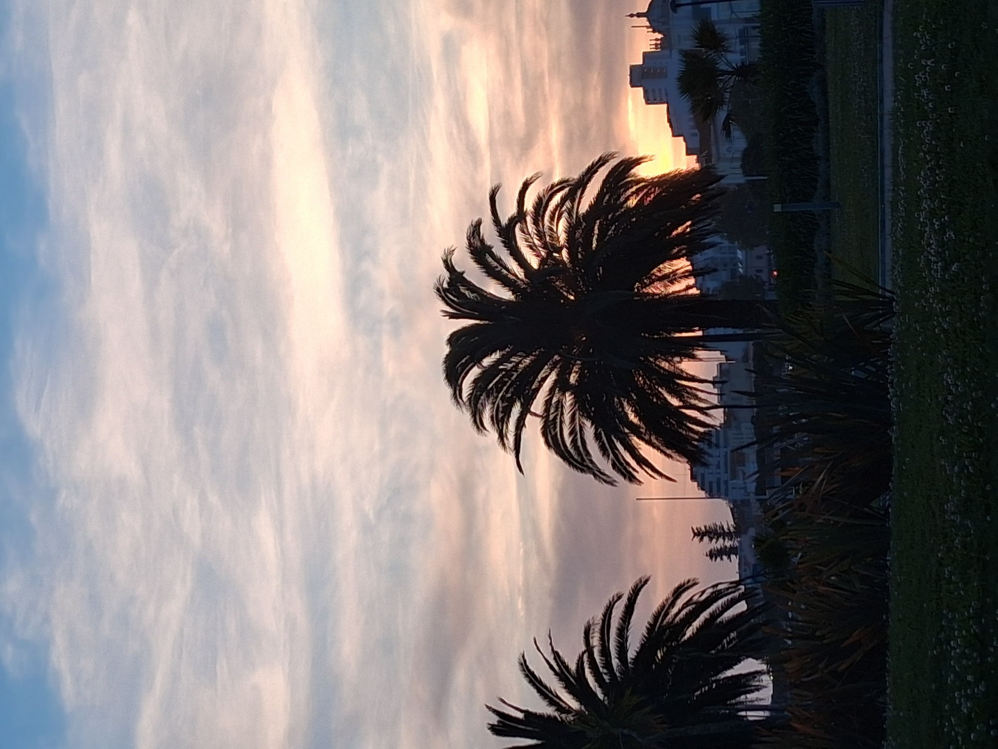 The image depicts a serene sunset scene in Figueira da Foz, Portugal. The sky exhibits a gradient of colors, transitioning from pale blue to hues of pink and orange near the horizon. Wispy clouds streak across the sky. Two palm trees dominate the foreground, their silhouettes contrasting against the colorful sky. Behind the trees, buildings, including a structure with a distinctive dome-like roof, suggest an urban area. A strip of green space, likely a park or garden, runs along the right side of the frame.