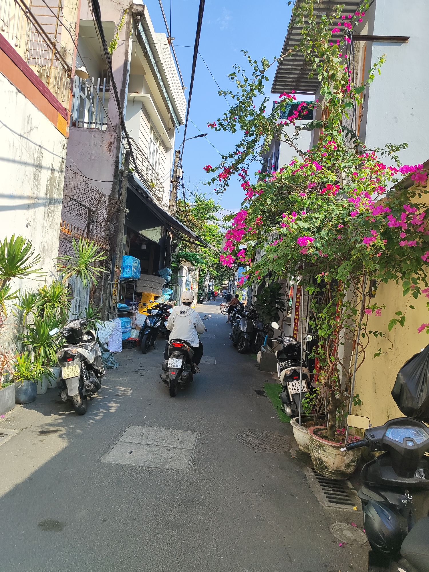 The image captures a narrow street in Đà Nẵng, Vietnam. A person on a motorcycle is driving away from the camera, heading down the street. Several parked scooters line both sides of the street. The buildings are close together, with one side featuring a wall covered in vibrant pink bougainvillea. Plants in pots and bags of goods are placed along the sides of the street near the buildings. The sky is visible at the end of the street, suggesting a clear, sunny day. Power lines stretch across the street overhead. The street surface is paved and shows signs of wear.