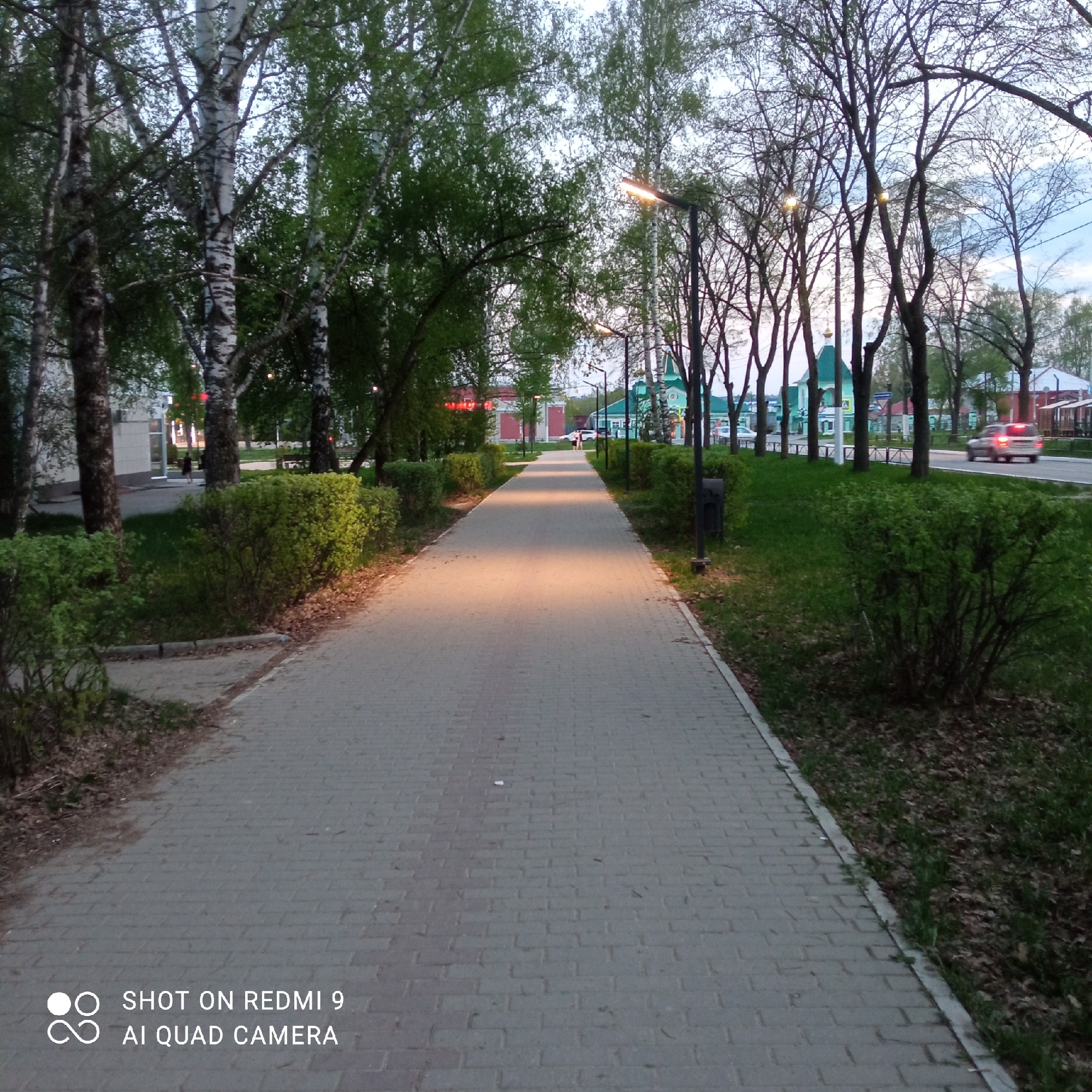 A photograph depicts a paved pedestrian walkway in Chaikovsky, Russia. The walkway extends into the distance, flanked on both sides by manicured bushes and trees. Streetlights illuminate the walkway, casting warm patches of light on the pavement. In the background, buildings with distinctive green roofs are visible. A car moves along a road parallel to the walkway. The sky appears overcast. The scene suggests a tranquil public space within the city.