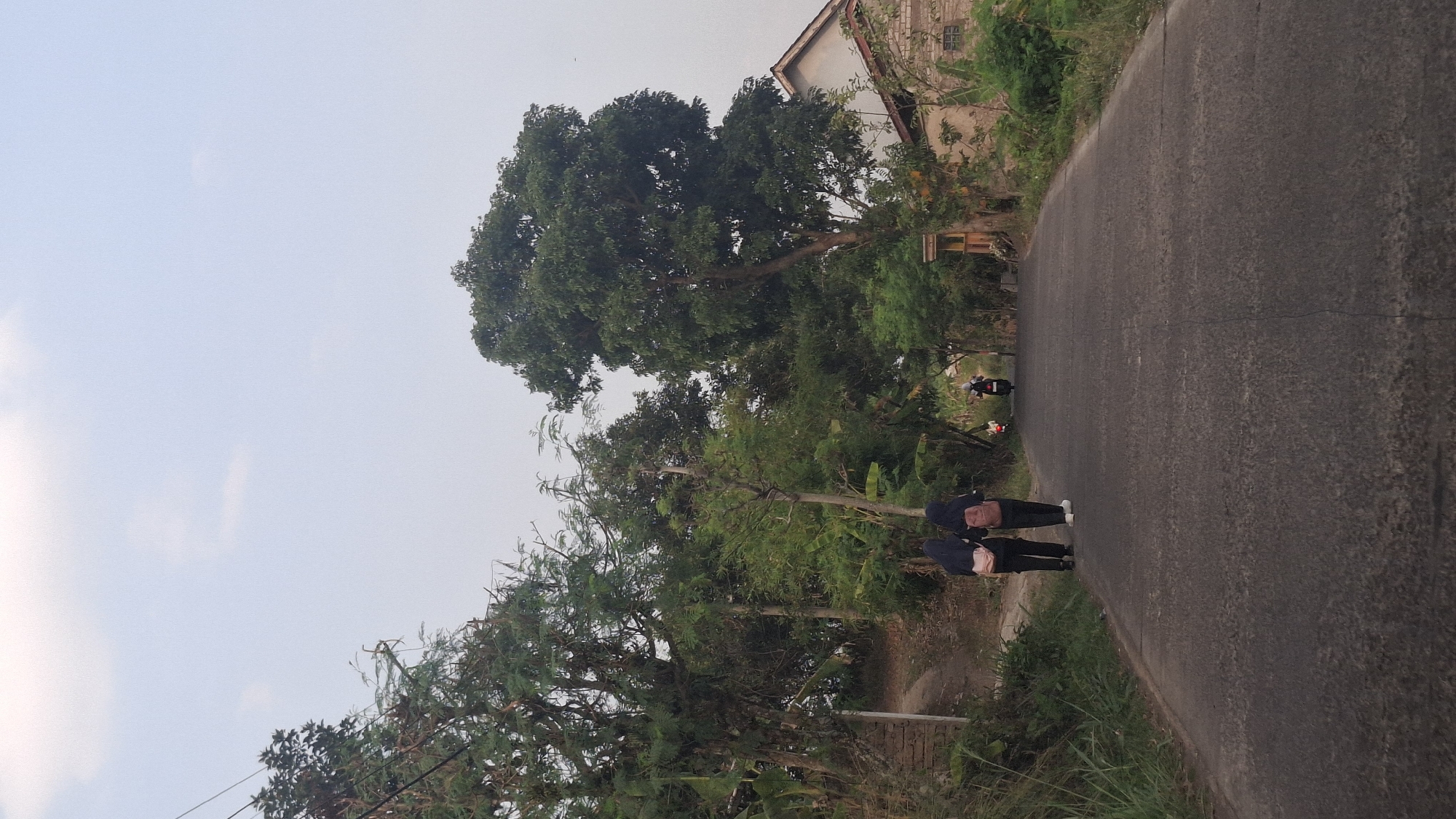 Two individuals wearing hijabs and backpacks walk away from the camera down a paved road in Cibinong Hilir, Indonesia. The road is flanked by lush green vegetation and trees on both sides. To the right, a building with a pitched roof and brick construction is visible, partially obscured by foliage. In the distance, two motorcycles are traveling in the same direction as the pedestrians. The sky is overcast with a pale blue hue, suggesting it is daytime. The overall scene depicts a rural or semi-rural environment.