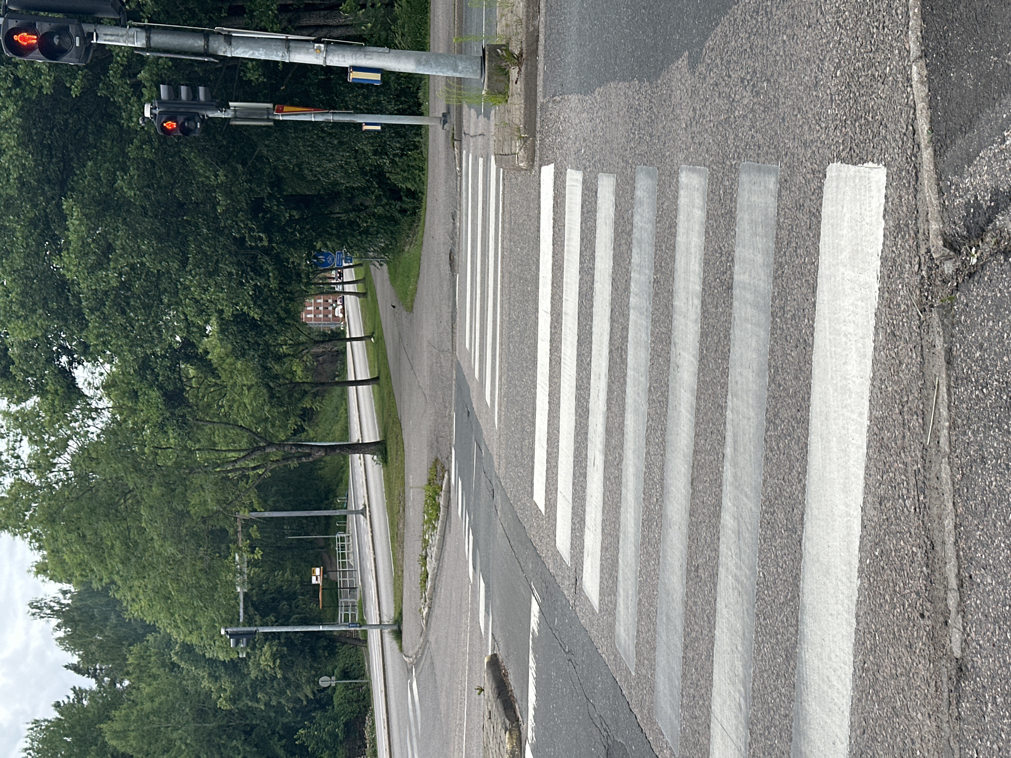 The image shows a view of a crosswalk with white stripes painted on asphalt, extending from the lower right corner upwards and towards the left. To the left of the crosswalk is a paved road and a grassy area bordered by trees. Traffic lights are visible on metal poles, with at least one light showing a red pedestrian symbol. There are also some blue traffic signs on poles. The scene appears to be outdoors during the daytime, with overcast or cloudy skies indicated by the lighting. The presence of trees and the general ambiance suggest a suburban or urban park setting. There is no discernible activity or event taking place, and no people are visible. No text is legible in the image.
