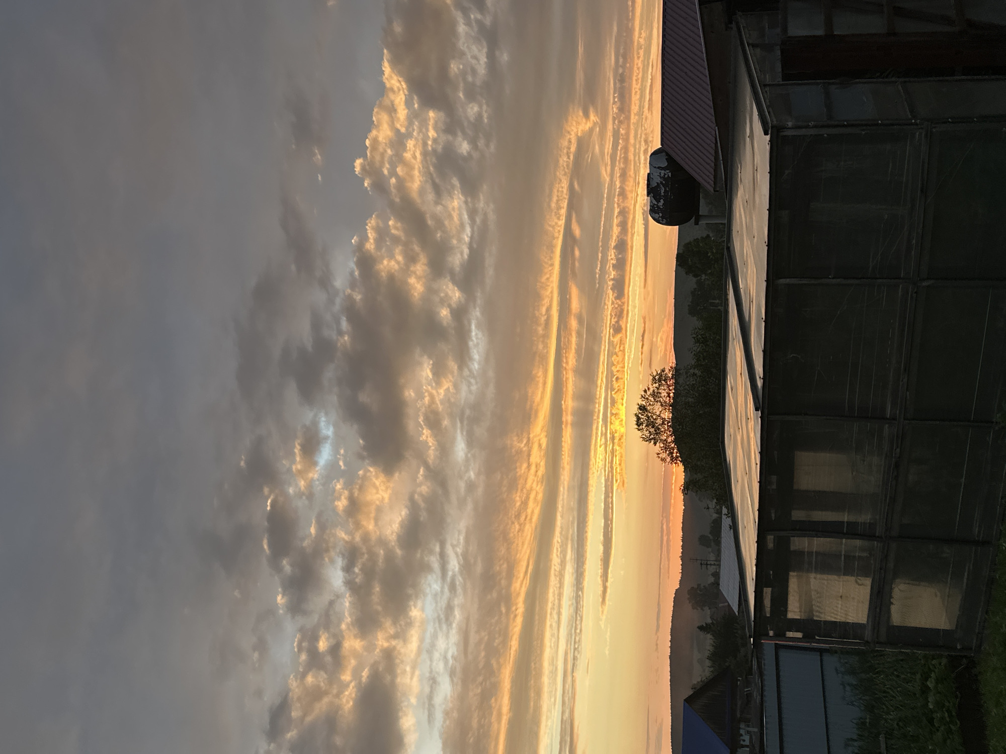 This is an outdoor, eye-level, vertical shot of a rural landscape at sunset, possibly in Yaroslavka, Russia, given the agricultural structures and hilly terrain. The sky is filled with dramatic, streaky clouds illuminated by the setting sun, casting a warm orange and yellow glow. In the foreground, a greenhouse with a transparent covering is visible. Behind the greenhouse, there are several buildings, including one with a red metal roof and a large, dark water tank on top. The background shows a rolling landscape with trees and mist. The overall scene evokes a peaceful, twilight rural atmosphere.