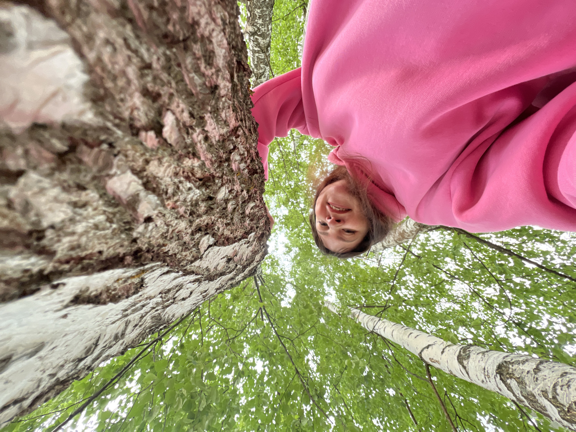 This image, captured in Noviy, Russia, presents a unique low-angle perspective looking upwards into a lush green forest. The primary subject is a young person, visible from the chin up, leaning over the camera and smiling directly into it. The person has dark hair and is wearing a bright pink hooded sweatshirt, which fills the upper right portion of the frame with its soft folds.
A large tree trunk, characteristic of a birch with its textured, dark, and light bark, dominates the entire left side of the foreground, appearing massive due to the extreme close-up and low angle. Further back and to the right, another slender birch tree with its distinctive white bark and dark markings stands tall, extending towards the sky. The background is filled with a dense canopy of vibrant green leaves, indicating a healthy forest or woodland environment during spring or summer. The bright light filtering through the foliage suggests it is daytime, likely a clear or lightly overcast day. The smiling expression of the person conveys a sense of joy or playfulness, likely engaged in taking a selfie from an unconventional angle within nature. No visible text is present in the media file.