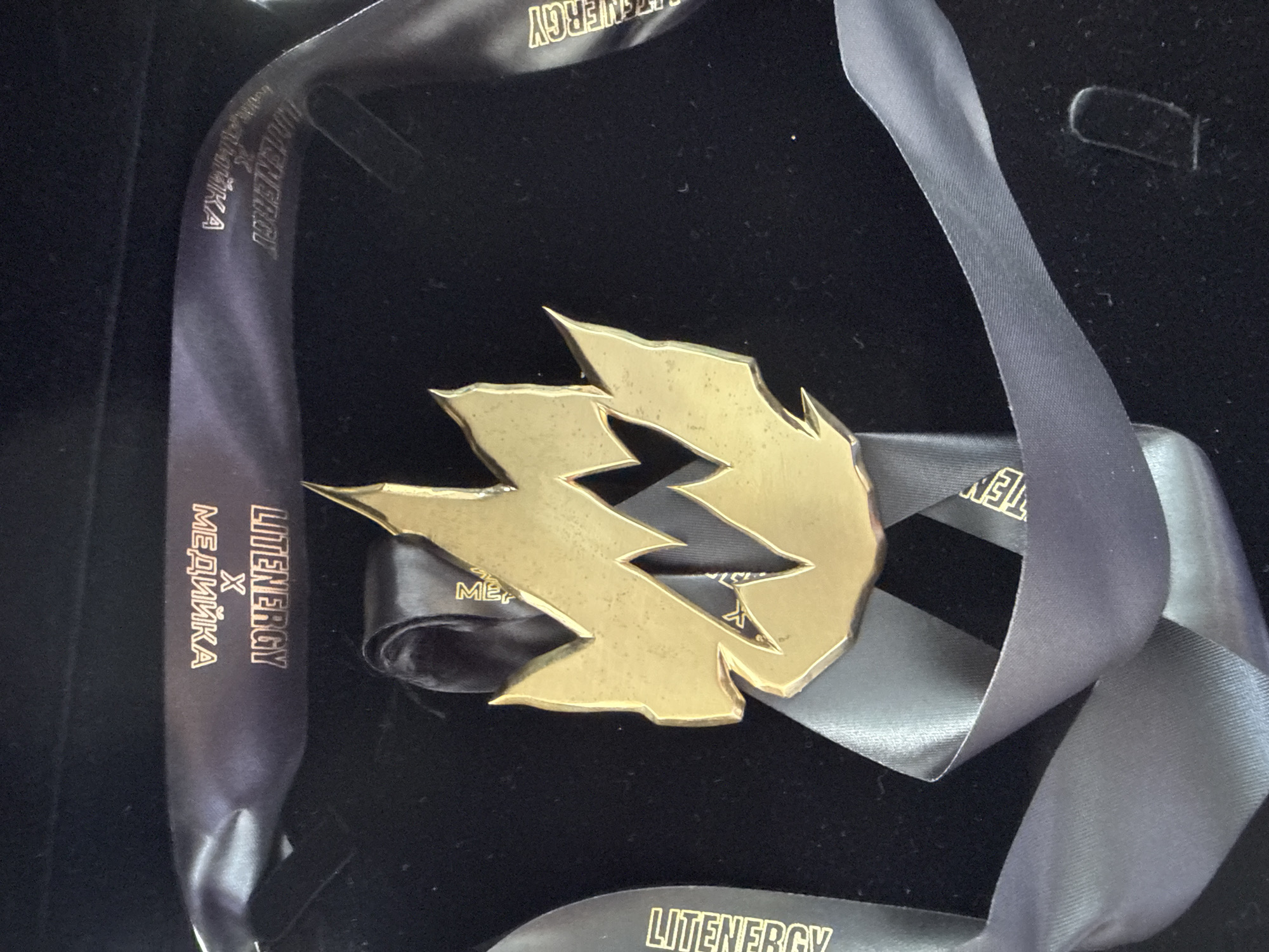 The image shows a golden-colored medal on a gray ribbon in a black box. The medal has a stylized lightning bolt design. The ribbon reads "LITENERGY X МЕДИЙКА". Based on the Russian text and the Litenergy brand, this may be an event or award related to energy and media in Russia. Without additional context, the location in Vladivostok cannot be confirmed solely based on this image.