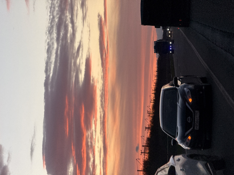 The image displays a vibrant sunrise or sunset over a multi-lane highway, viewed from a slightly elevated perspective, likely from inside a vehicle. The sky, dominating the upper left portion of the frame (when viewed correctly as landscape), is awash in rich hues of orange, red, pink, and purple, interspersed with lighter, almost white and grey clouds. These clouds appear streaky and layered, reflecting the warm glow of the sun.
On the right side of the image, a dark asphalt road stretches into the distance, with visible lane markings. Several vehicles are present on the road. In the immediate foreground, a dark-colored sedan, possibly a Nissan, is prominently featured. Its front bumper, grille with the Nissan logo, and headlights are visible. The amber turn signals are illuminated, suggesting the car is either signaling or its parking lights are on. A license plate is clearly visible on this car, displaying the characters "P856OT 77", which is consistent with a Russian license plate. Partially visible in the very bottom right corner is another vehicle, lighter in color, possibly white or silver, indicating traffic. Further down the highway, several large trucks are visible, mostly as dark silhouettes against the colorful sky, but their bright blue and white lights are illuminated, cutting through the low light conditions.
Adjacent to the road, on the far right, there is a dark strip of landscape, likely trees or dense bushes, and a series of utility poles or power lines stretching horizontally into the distance, silhouetted against the horizon.
The overall scene depicts a moment of travel during either dawn or dusk, characterized by the striking natural light of the sky contrasting with the artificial lights of the vehicles on the busy road. The atmosphere is calm yet suggests movement and commuting.