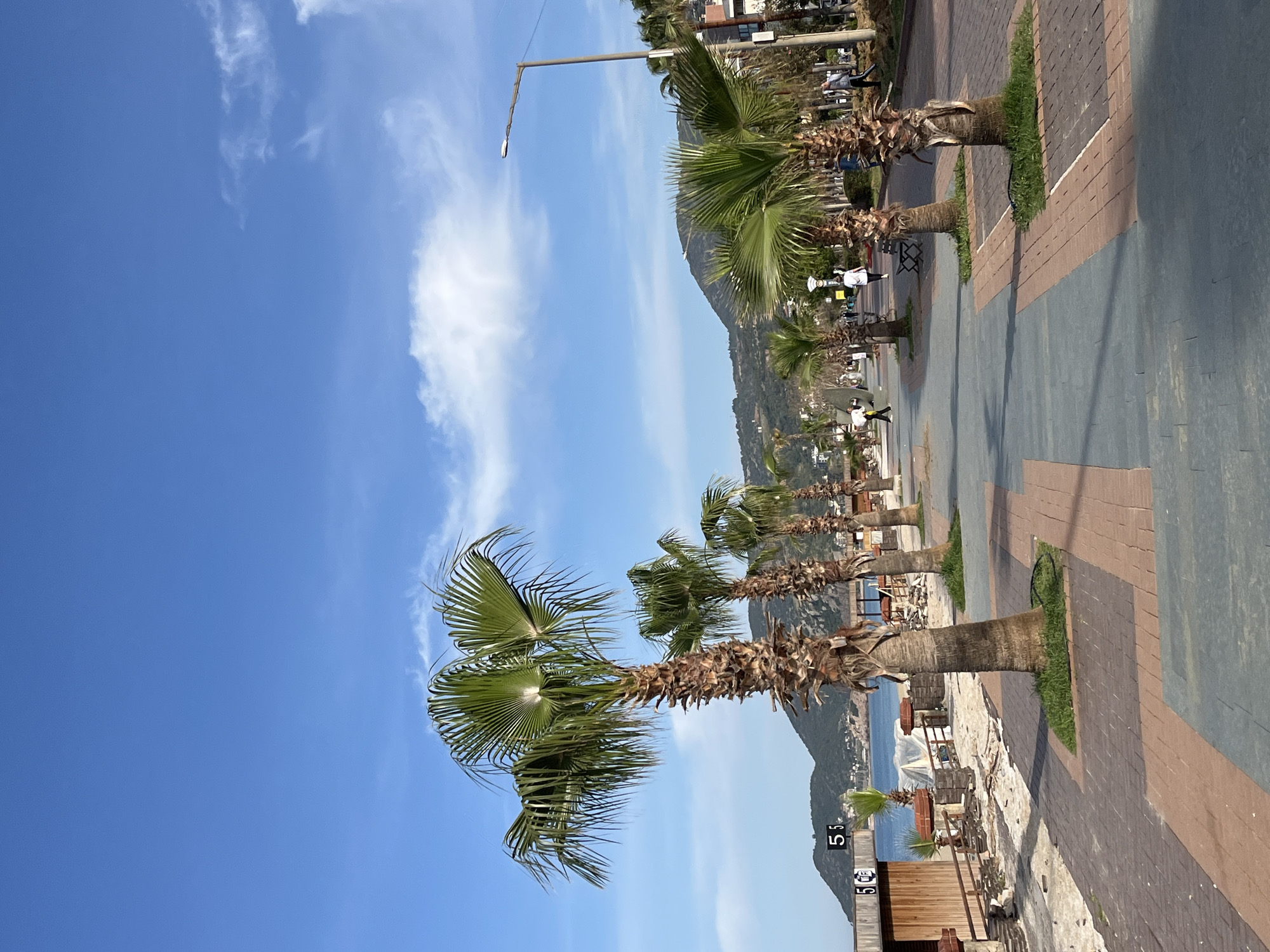 The image depicts a street scene in Alanya, Turkey, characterized by a line of palm trees along a paved walkway. The walkway is composed of grey and brick-colored sections, with small patches of grass around the base of each palm tree. In the background, a mountain range is visible, with buildings and infrastructure along the shoreline. The sky is blue with scattered white clouds. The image appears to be taken during the daytime. The scene features people walking along the walkway. The overall impression is of a pleasant, sunny day in a coastal city.