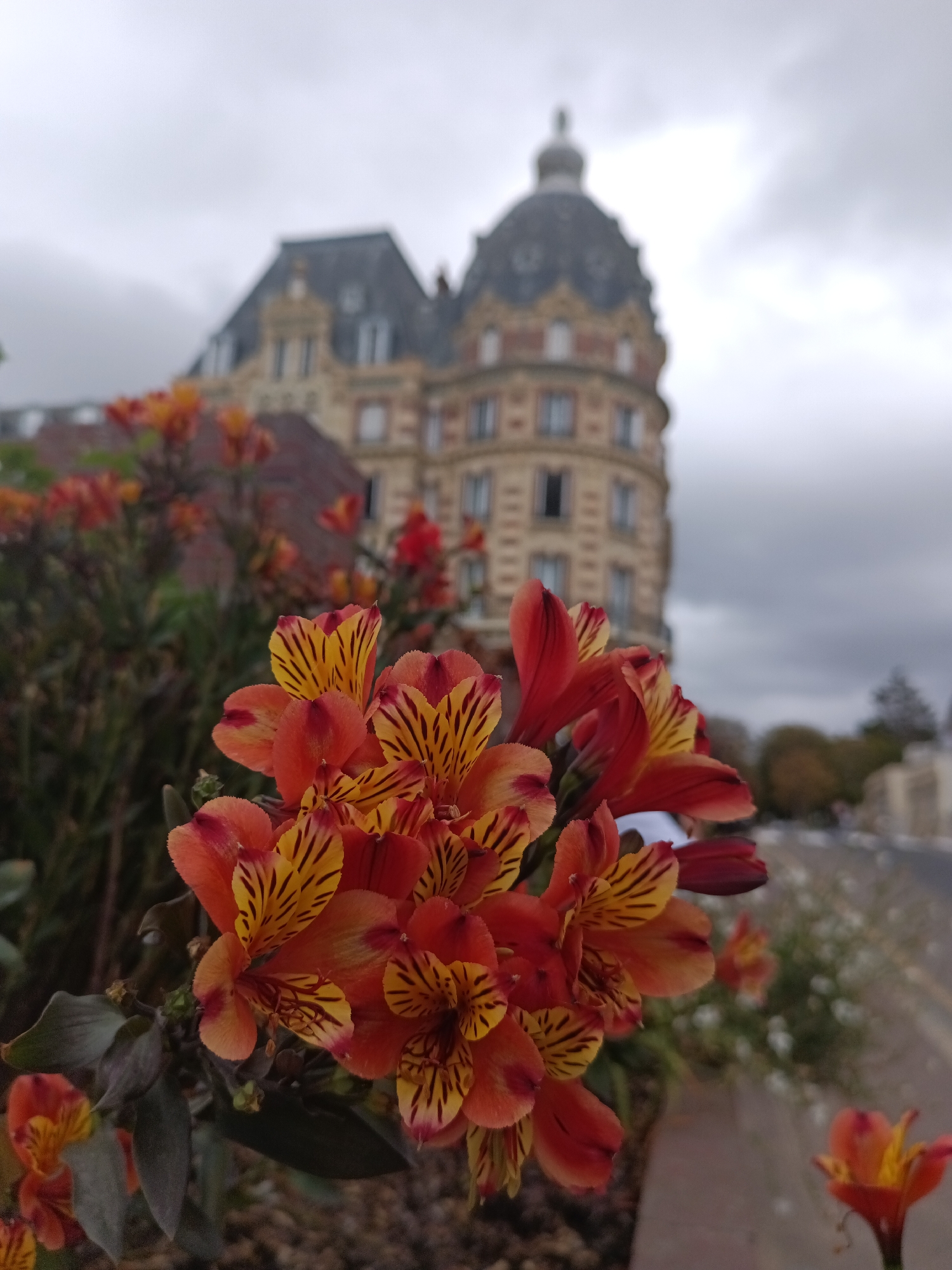 The image shows a close-up view of orange and yellow Alstroemeria flowers in the foreground. Behind the flowers, a blurred, multi-story building with a domed roof and a grey, overcast sky are visible. The building appears to be historic architecture. This scene is located in Houlgate, France, and the building is the Casino of Houlgate. The setting suggests an outdoor, possibly public, space in a European town. There are no people or discernible actions in the image.