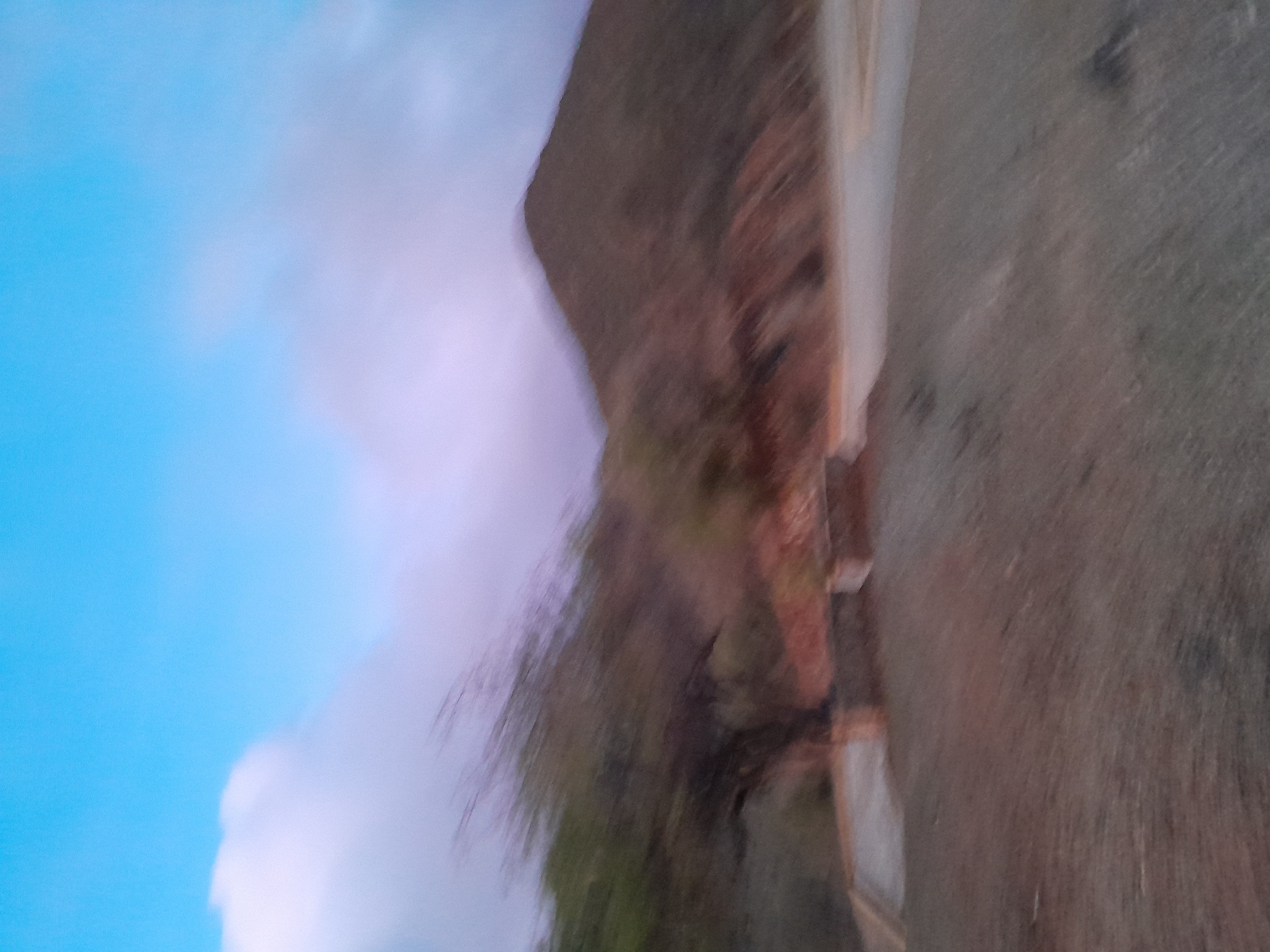 The image depicts a blurred, outdoor scene with a natural landscape. The sky above is a gradient of blue and light purple, with hints of white clouds. In the middle ground, there is a dark, tree-like shape with branches that are indistinct due to motion blur. Behind the tree, a reddish-brown mountain or hill rises, also blurred. A road or path is visible in the foreground, running diagonally across the scene. The overall impression is that of a motion-blurred photograph taken in a rural or mountainous area. The location in Santa Ana, Venezuela is not discernible from the visual information present in the image.